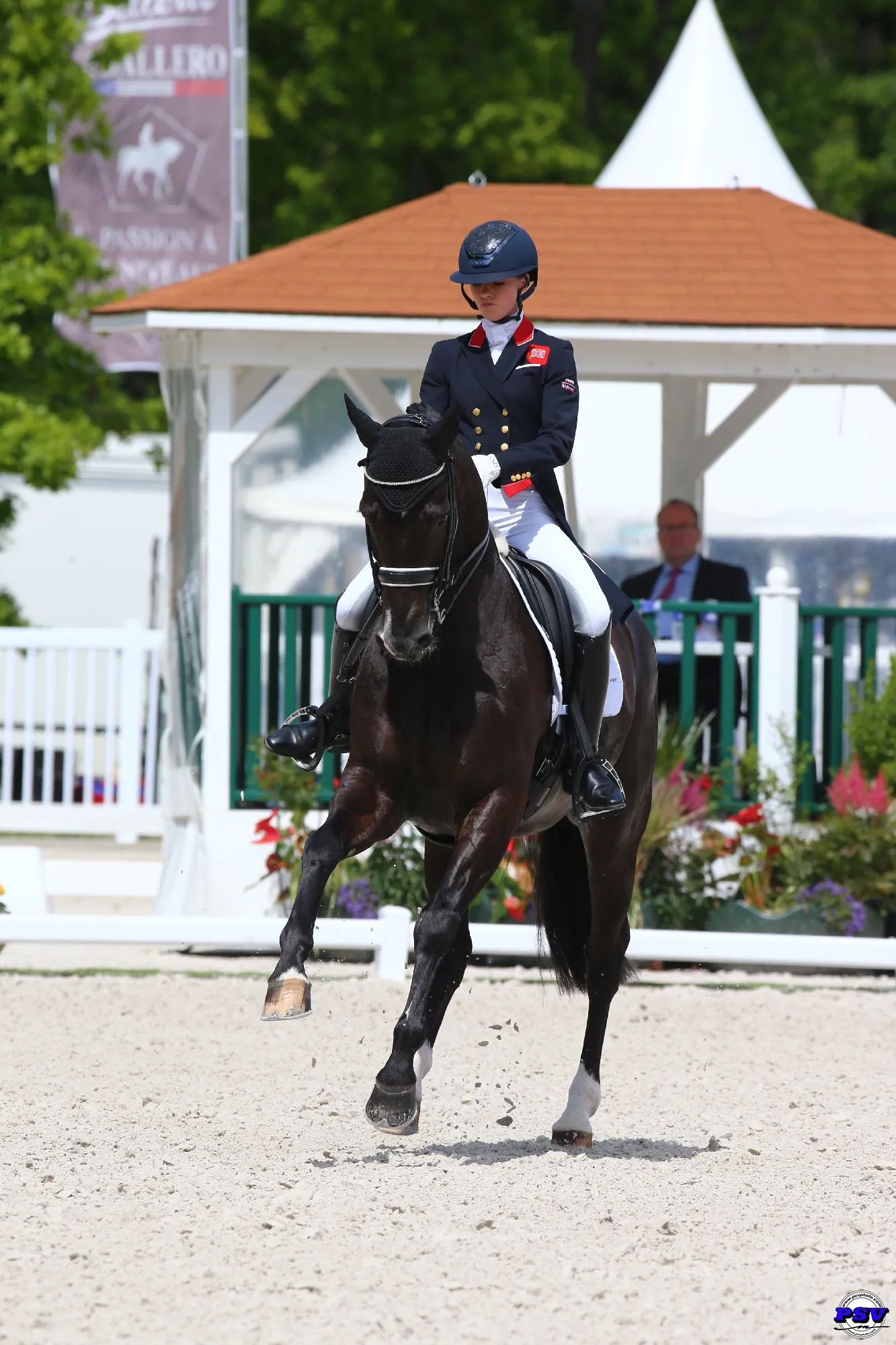 Les Internationaux de Dressage