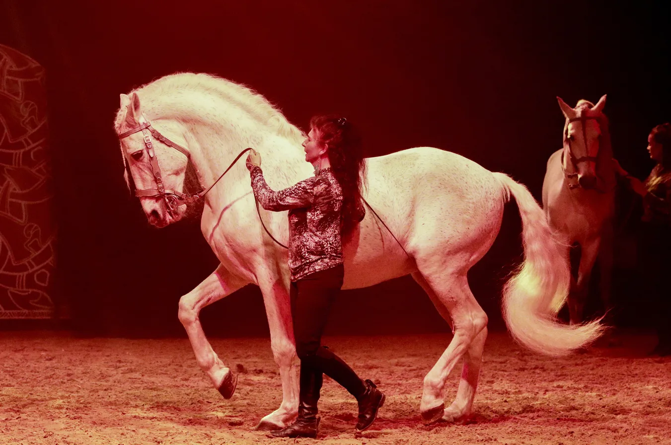 Magali Delgado est partie prenante dans la création de ce spectacle inédit.