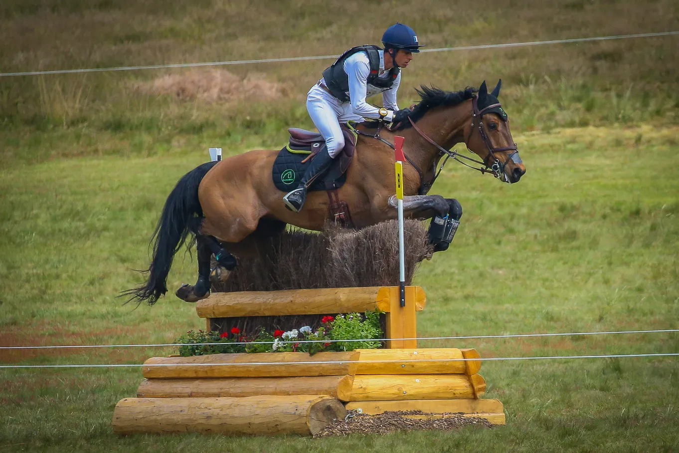 Maxime Livo et Carouzo Bois Marotin ont réalisé un maxi sur le cross du CCI 4*-L de Saumur.