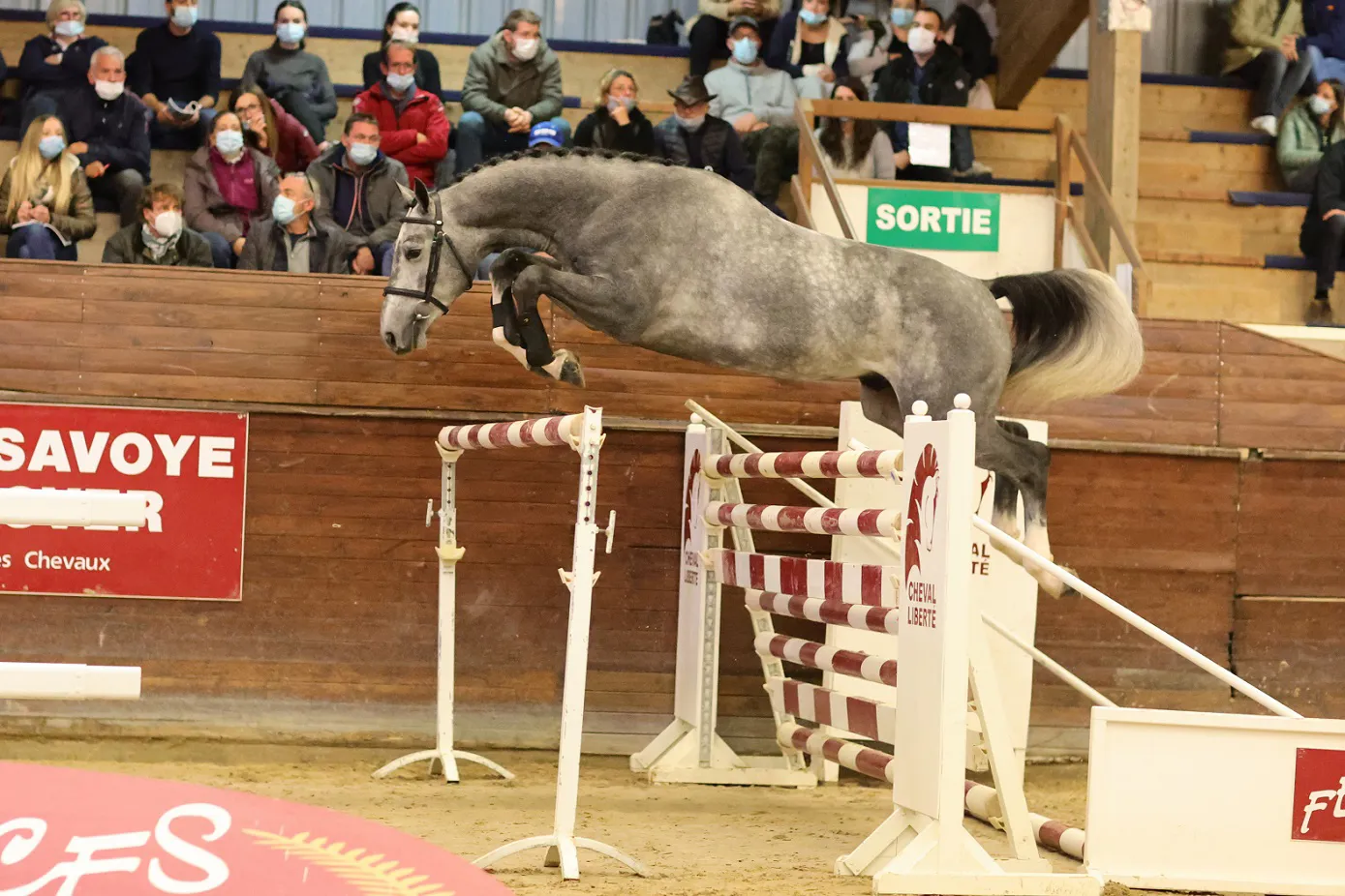 Chac On JT Z vendu au Maroc pour 62.000 €