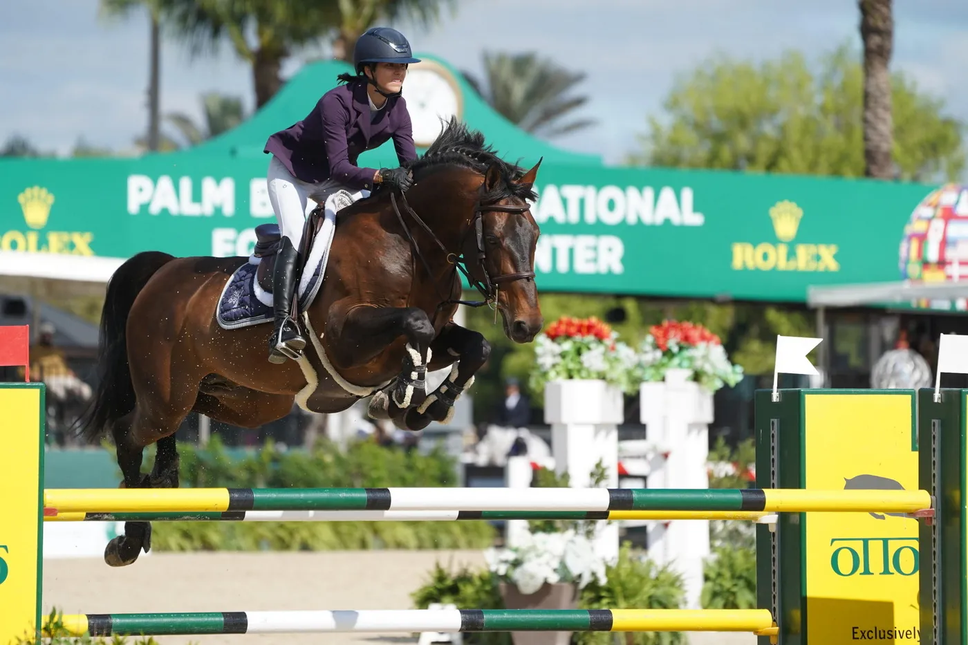 C'est à Wellington, cet hiver, que Levis de Muze a commencé à faire parler de lui sous la selle de sa cavalière.