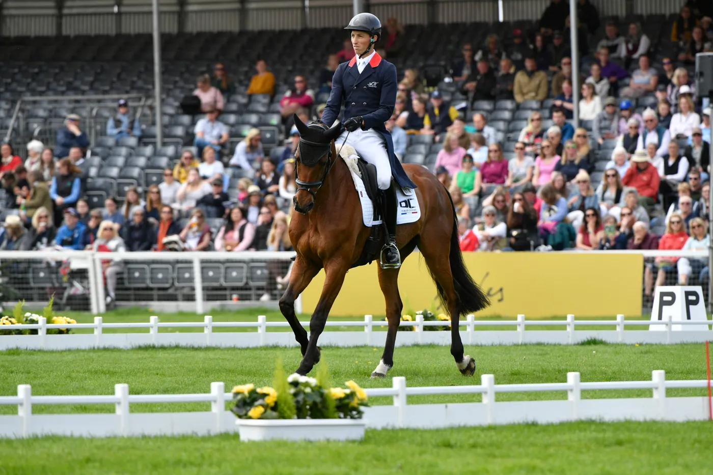 Gireg Le Coz, pointe au quatorzième rang sur Aisprit de la Loge.