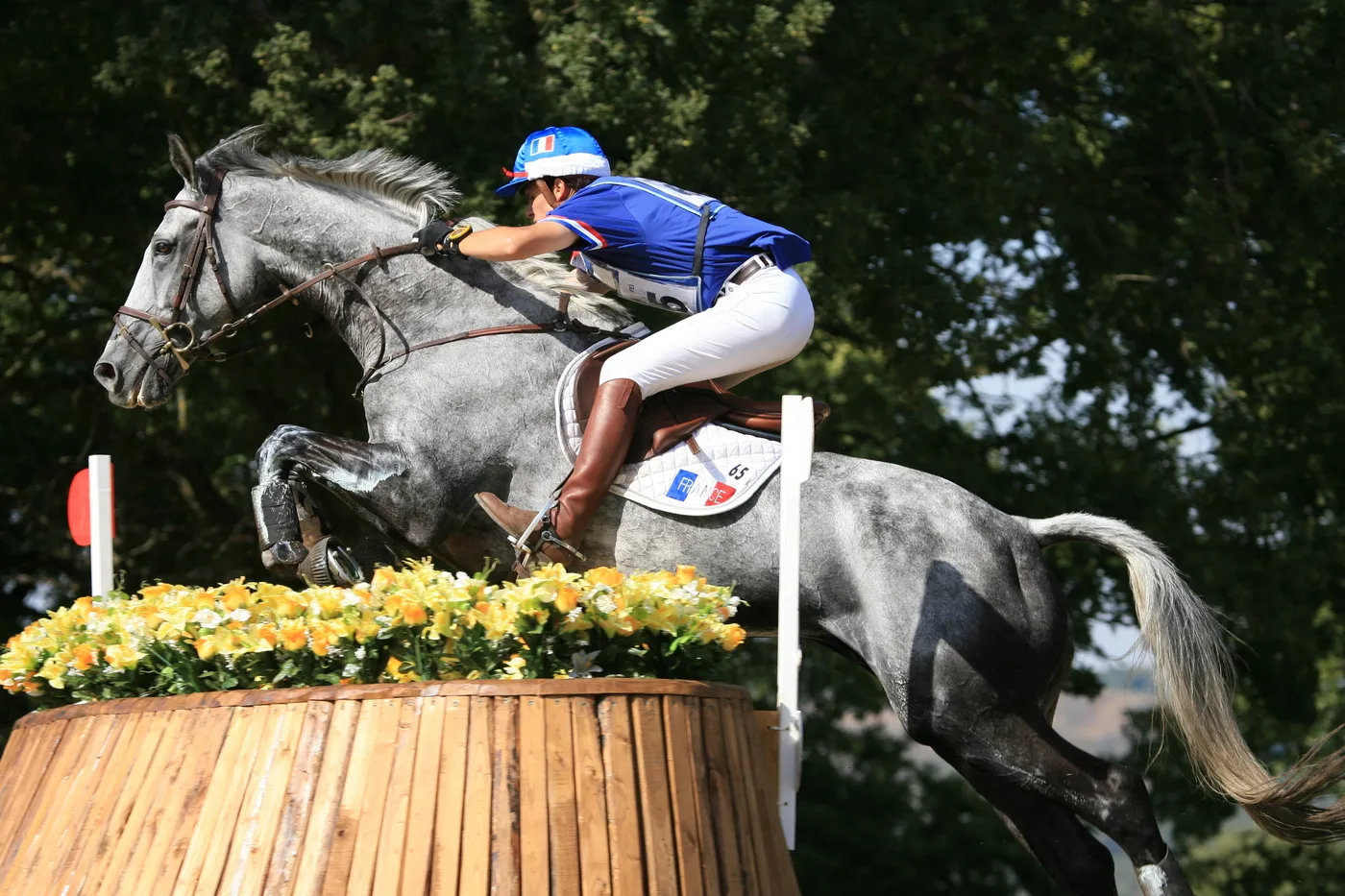 En 2007, l'Angevin avait été sacré champion d'Europe individuel à Pratoni del Vivaro avec son crack gris, Galan de Sauvagère.