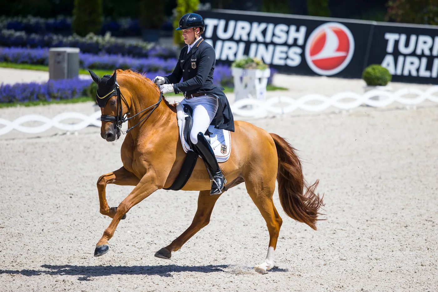 Ici dans le stade de dressage d'Aix-la-Chapelle, Frederic Wandres et son Duke ont remporté leur premier grand succès lors de l'étape Coupe du monde de Londres en 2018.