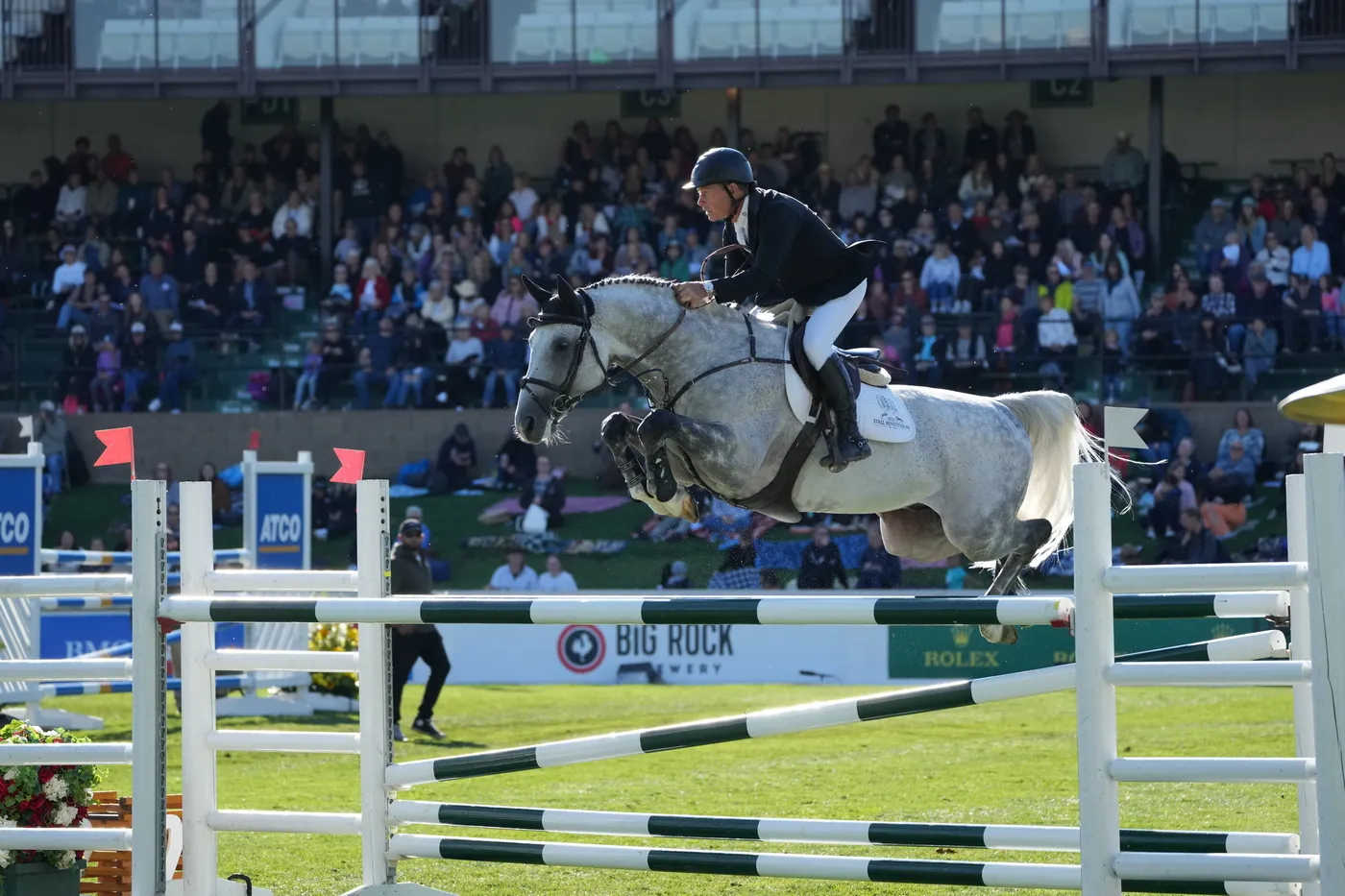Sous la selle de Rolf-Göran Bengtsson, l'étalon du stud-book Holsteiner Zuccero semble monter en puissance.