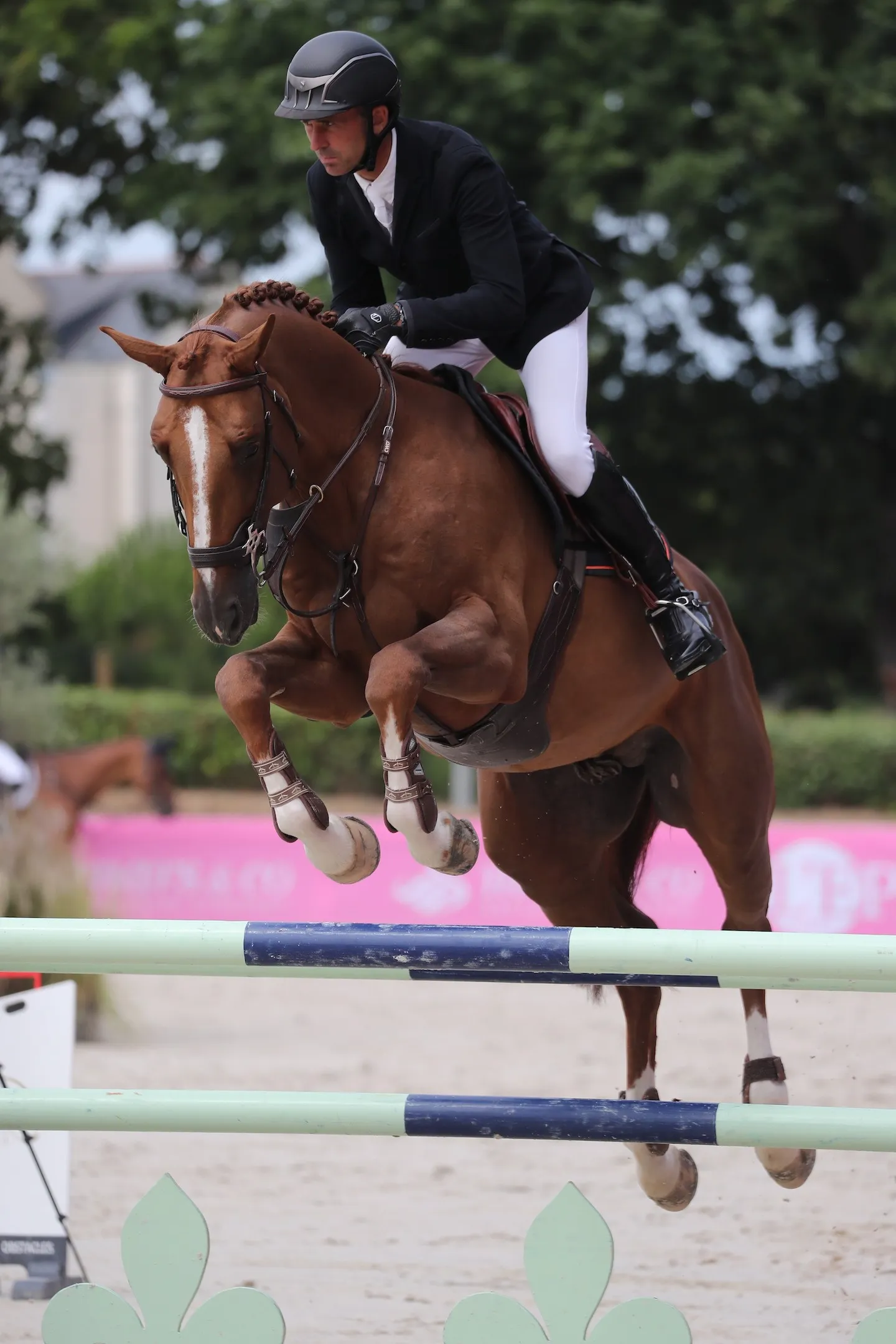 Le Normand en selle sur Falko de Hus 