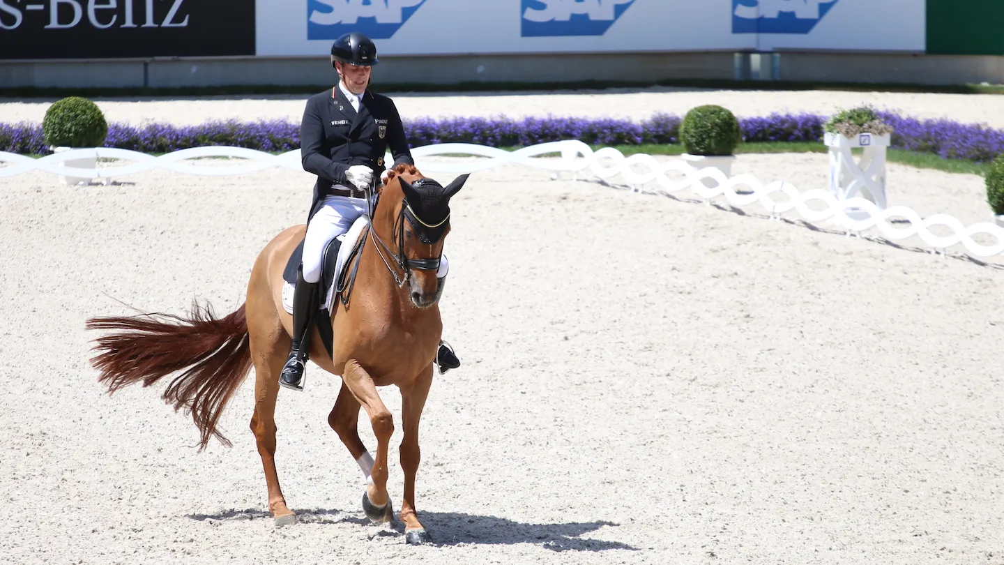 Frederic Wandres et Duke of Britain, deuxièmes du Spécial et de la Coupe des nations. 