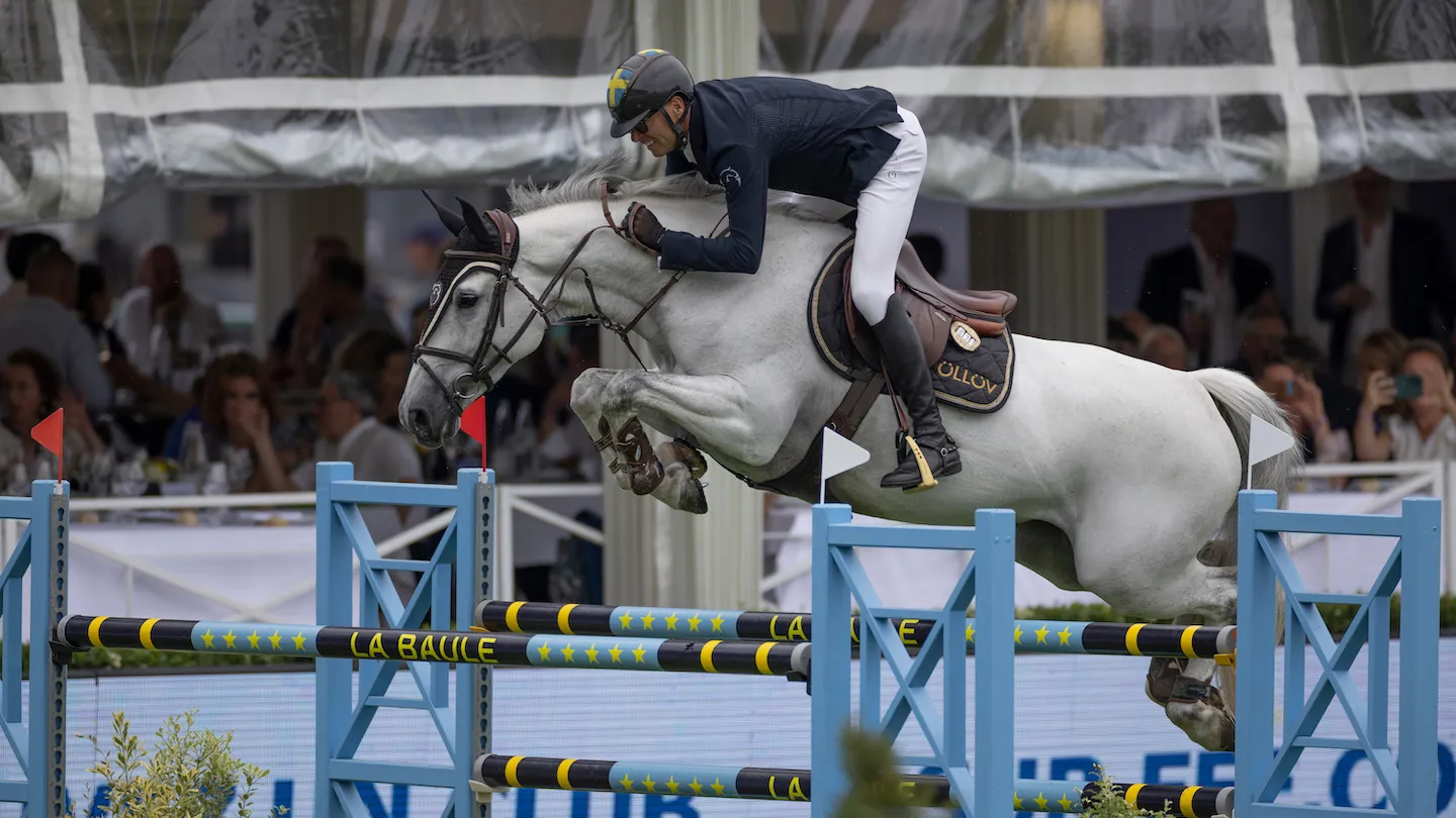 Marcus Westergren et sa grise sur l’ultime obstacle du parcours imaginé par Grégory Bodo. 
