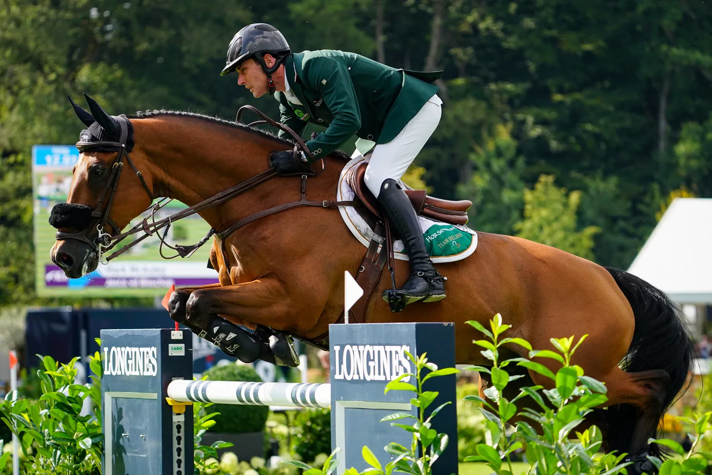 Après l'avoir notamment accompagné aux championnats d'Europe de Riesenbeck cet été, Jasco vd Bisschop a offert à Mark McAuley la deuxième place du Grand Prix CSI 4* de Wellington.