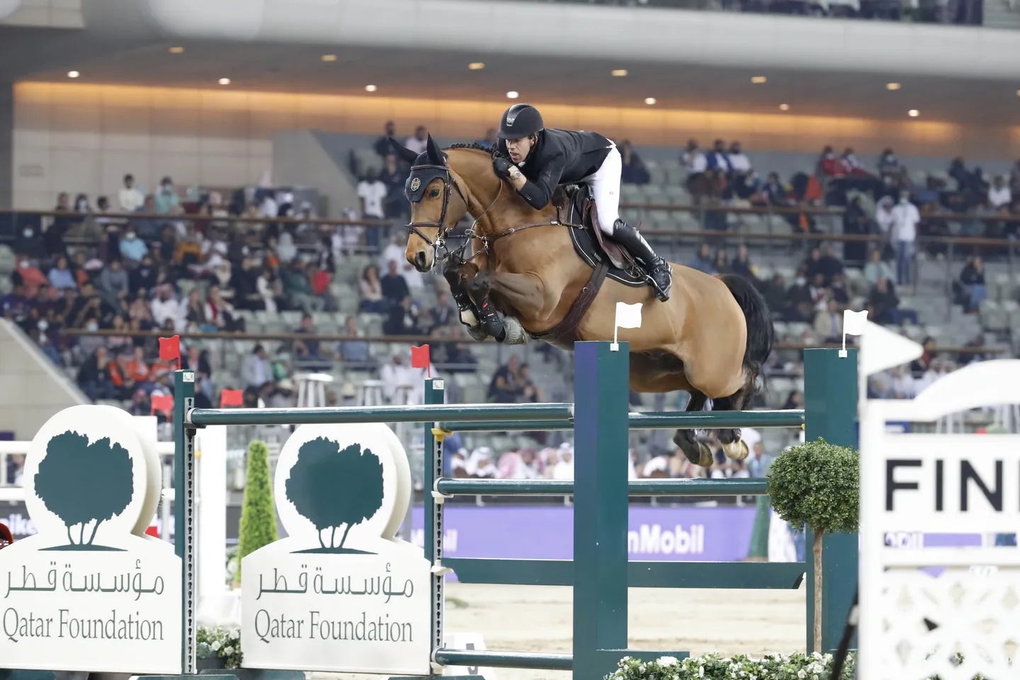 Comme à Tokyo, Maikel van der Vleuten a pris la troisième place avec Beauville.