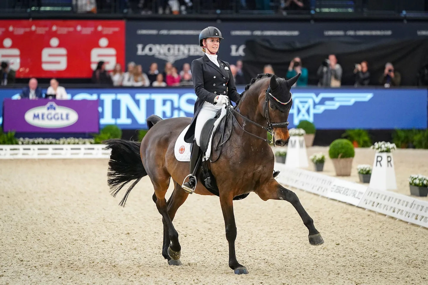 TSF Dalera BB ne reprendra la compétition qu'après le congé maternité de sa cavalière. 