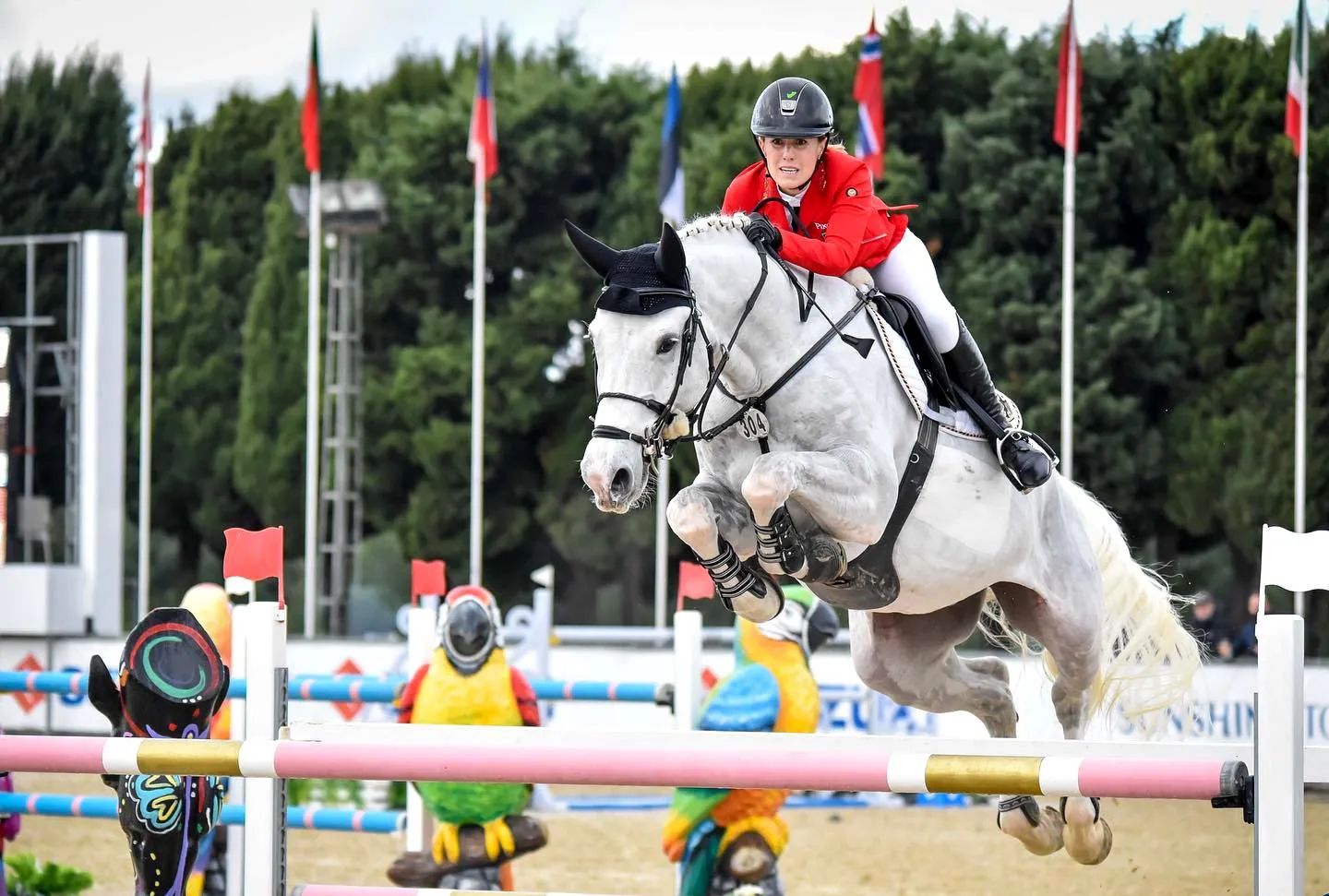 Le jeune et impressionnant Chesmu KJ a permis à sa cavalière d'offrir deux parcours parfaits à l'Allemagne.