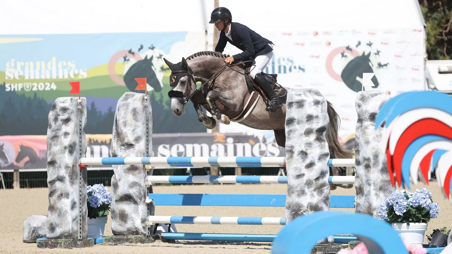 Karaganda Semilly a été sacré champion de France des entiers et hongres de quatre ans à Fontainebleau