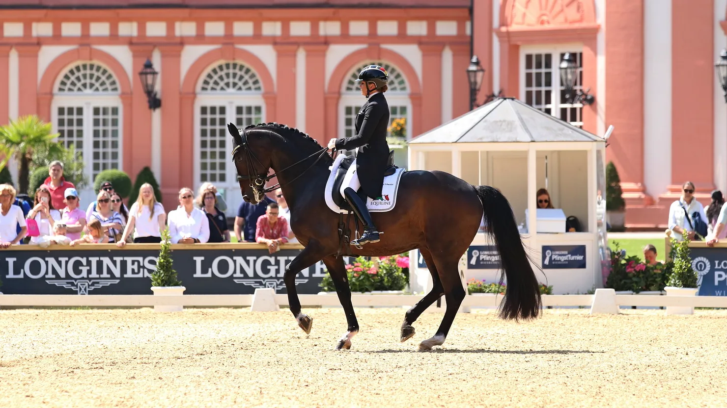 Pour son dernier concours international, Showtime avait atteint des moyennes de près de 77% à deux reprises.