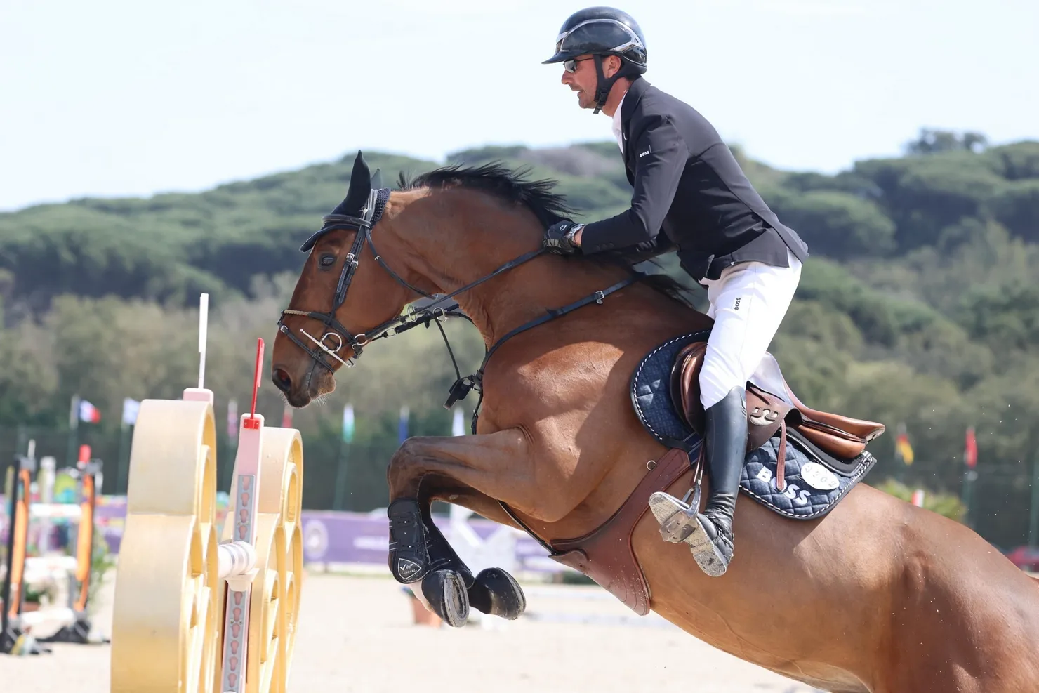 Citadin du Chatellier se montre toujours aussi compétitif avec Nicolas Delmotte, qui le monte depuis ses sept ans