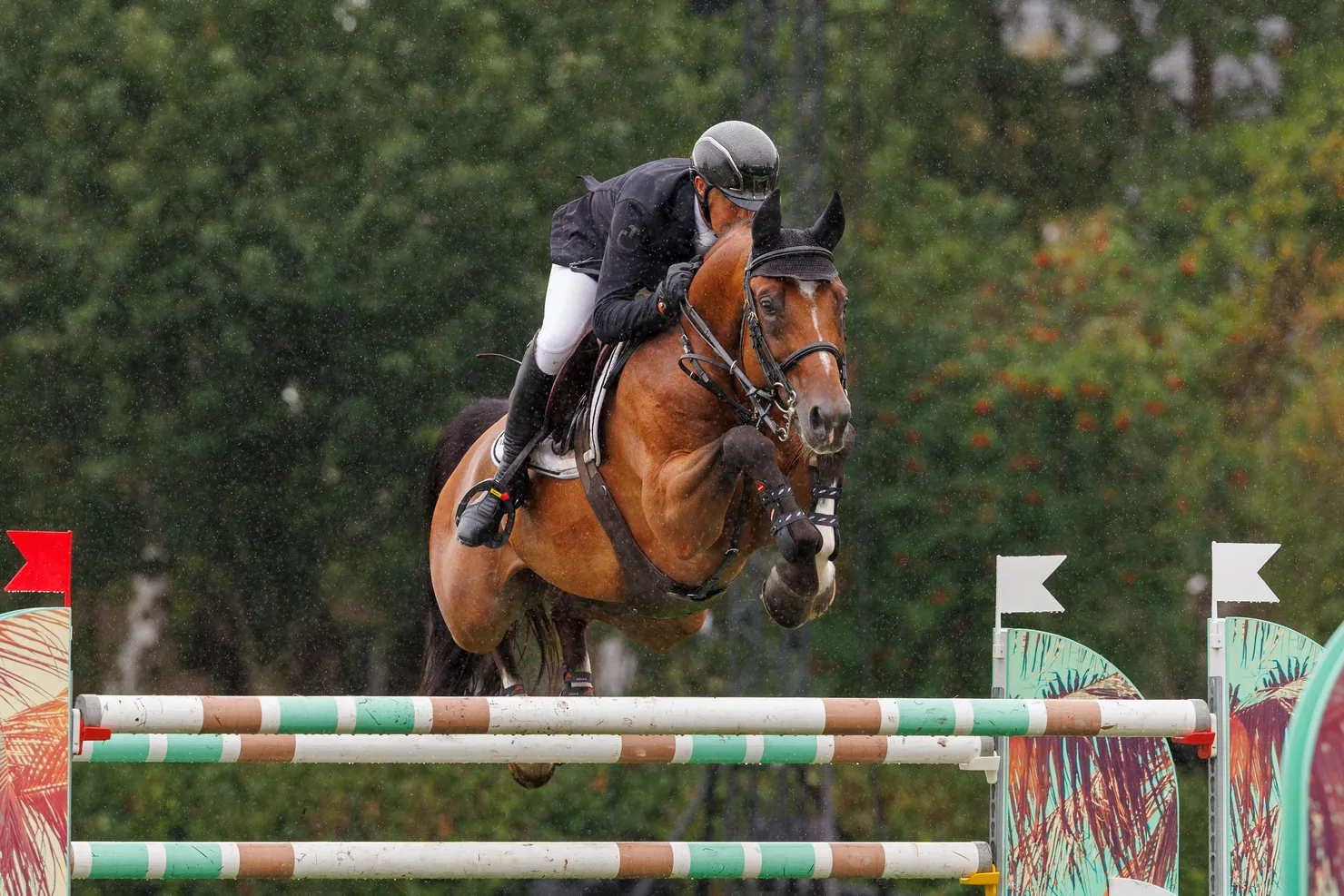 Rik Hemeryck a mené Navarro van het Eelshof à la deuxième place