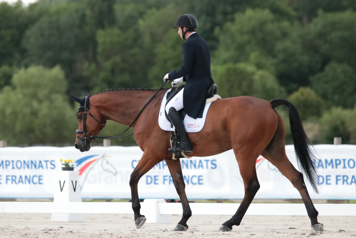 Sébastien Cavaillon et Elipso de la Vigne à leur sortie du rectangle de dressage de Vittel