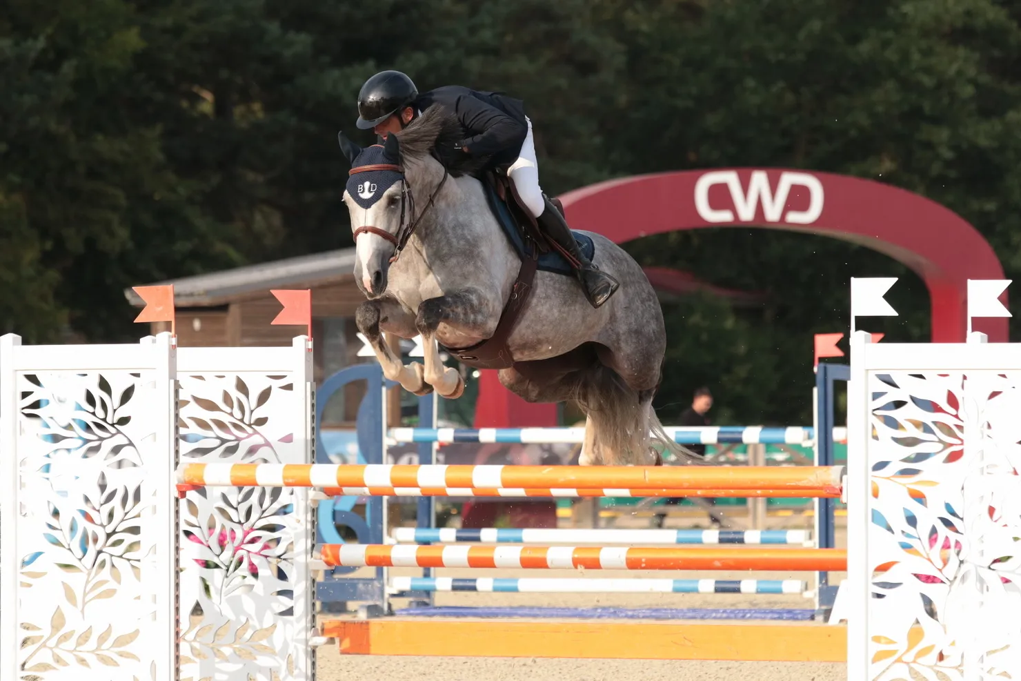 Igy de la Roque est la nouvelle championne des juments de six ans