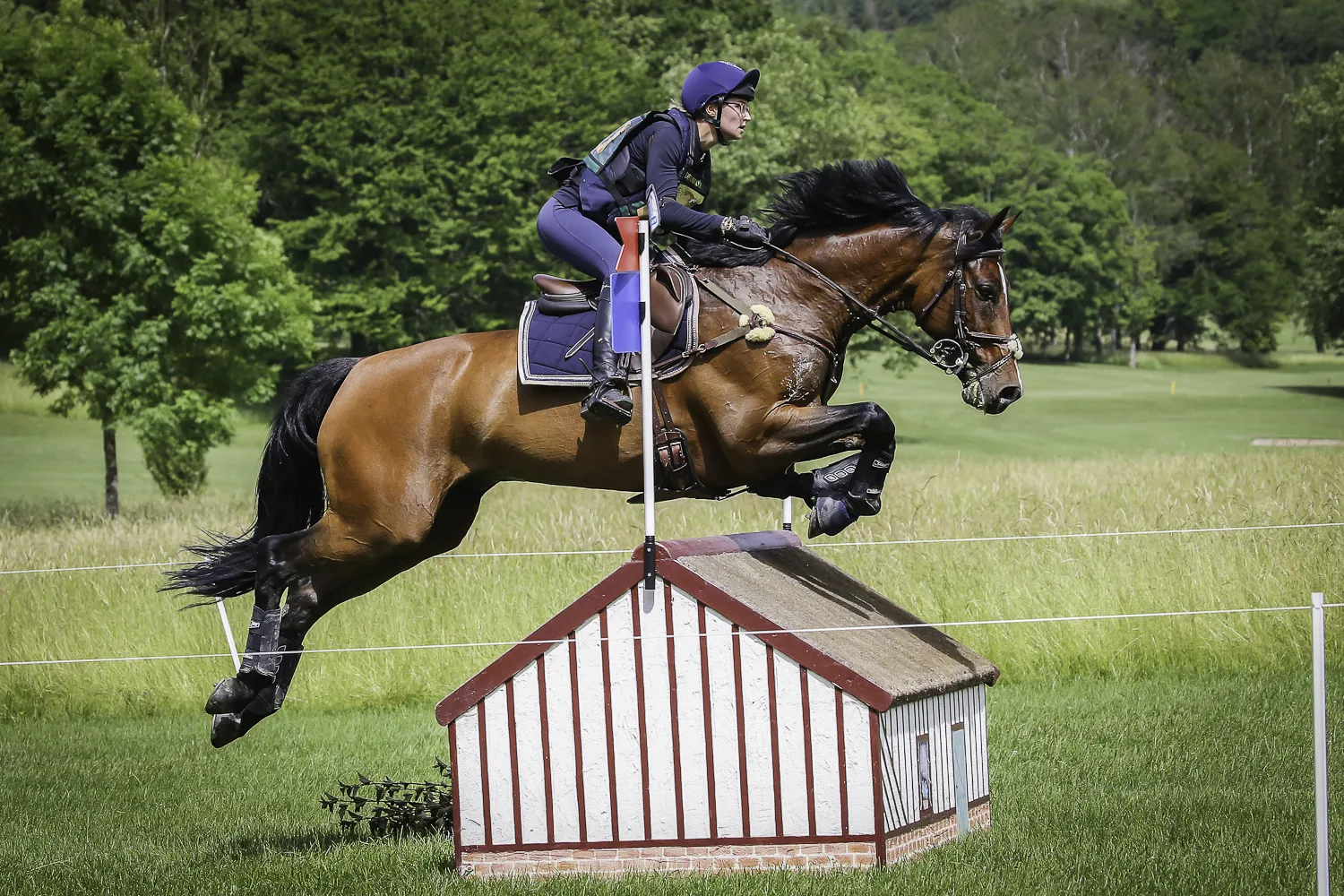 Lisa Gualtieri a terminé son championnat d'Europe sur une bonne note en réalisant un sans-faute aujourd'hui.