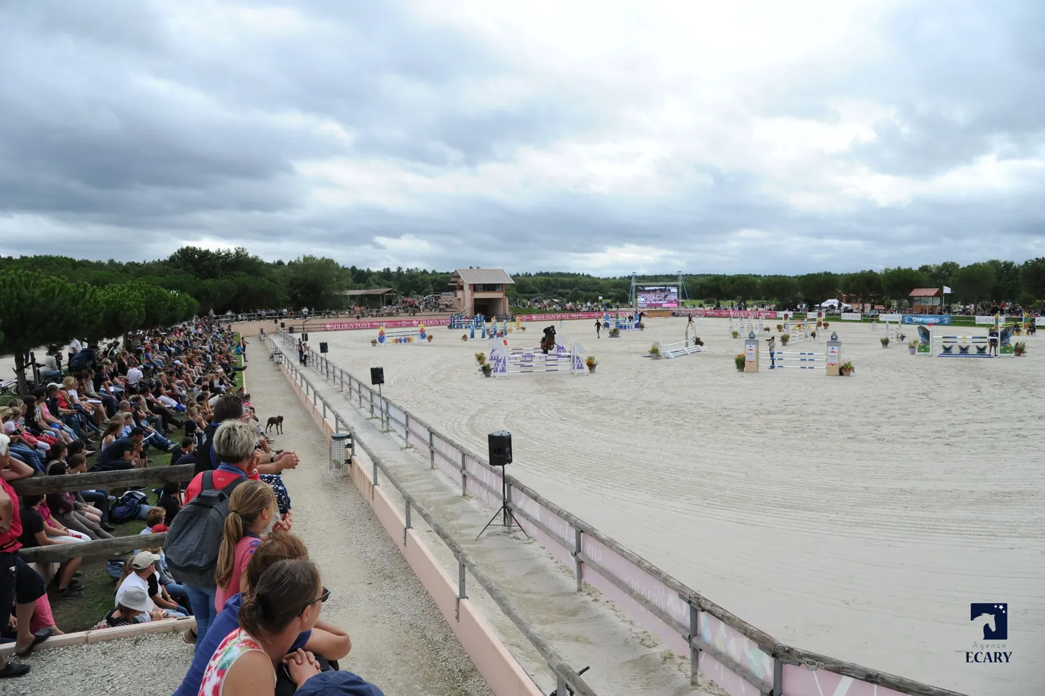 Le public était au rendez-vous de la vingt-deuxième édition du Sologn'Pony.