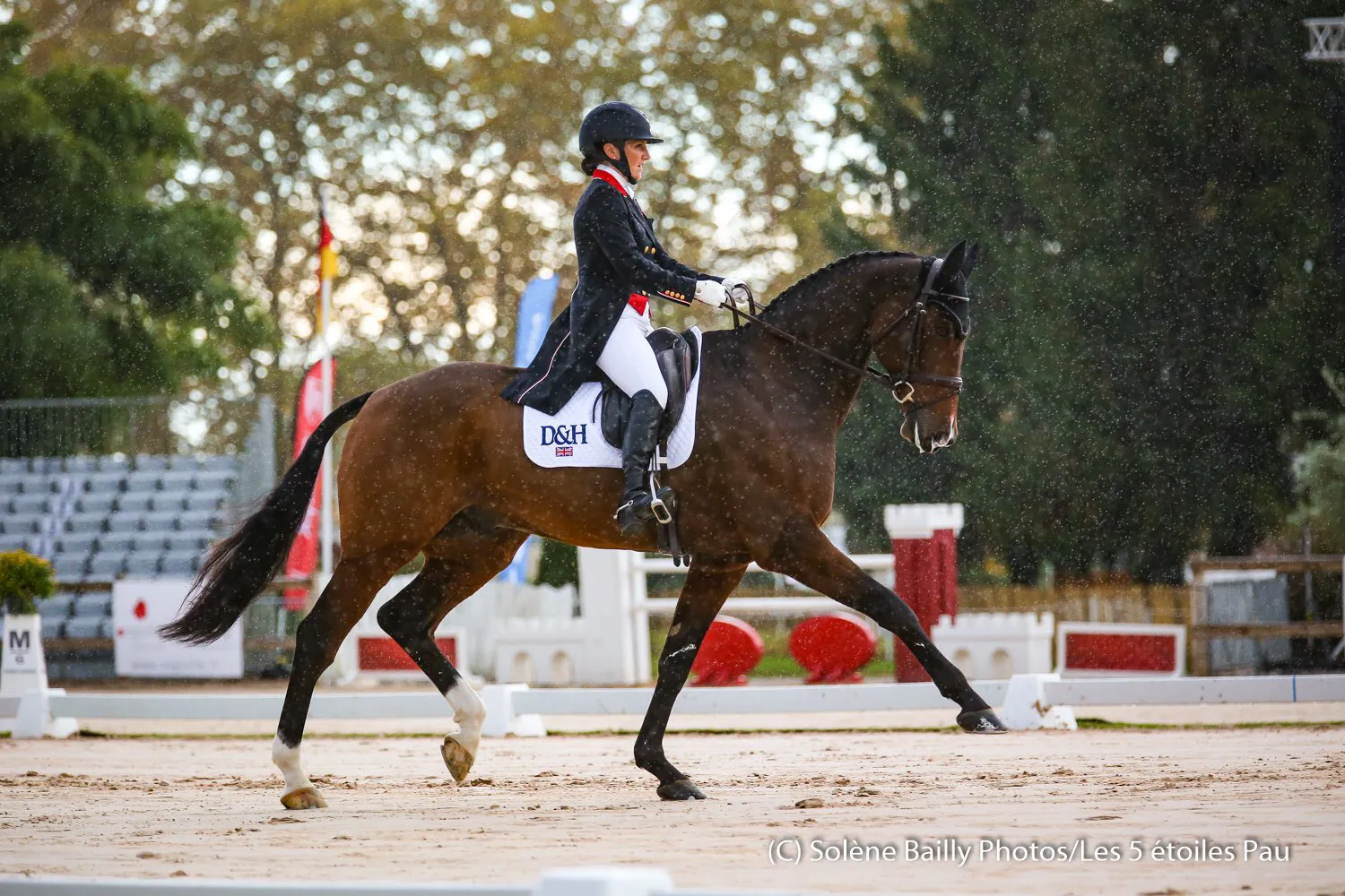 Laura Collett s'est imposée à Pau lors du CCI5*-L, prenant la tête du classement à l'occasion du dressage avec London 52. 