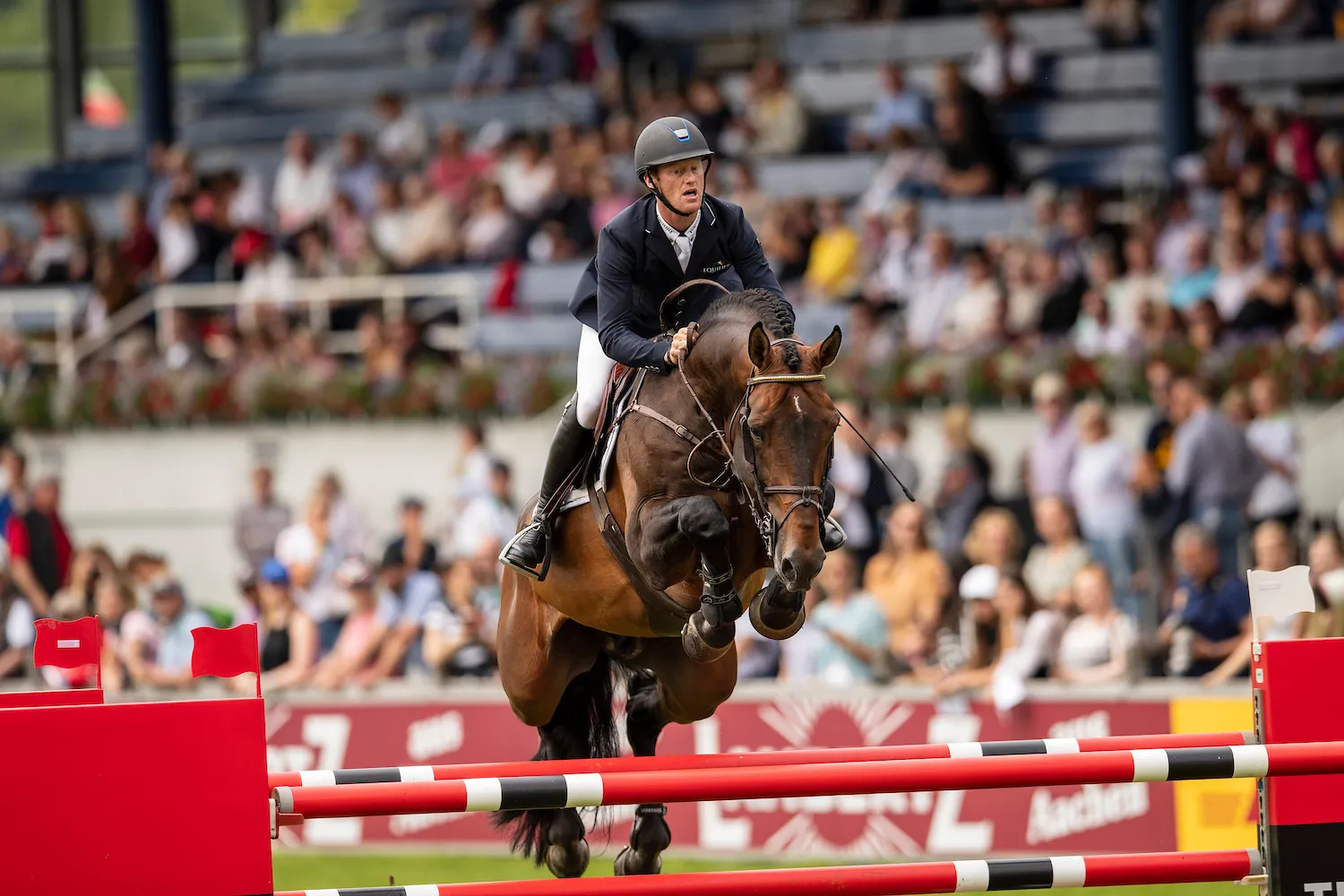 Jenson van’t Meulenhof, fils de Vagabond de la Pomme monté par Niels Bruynseels