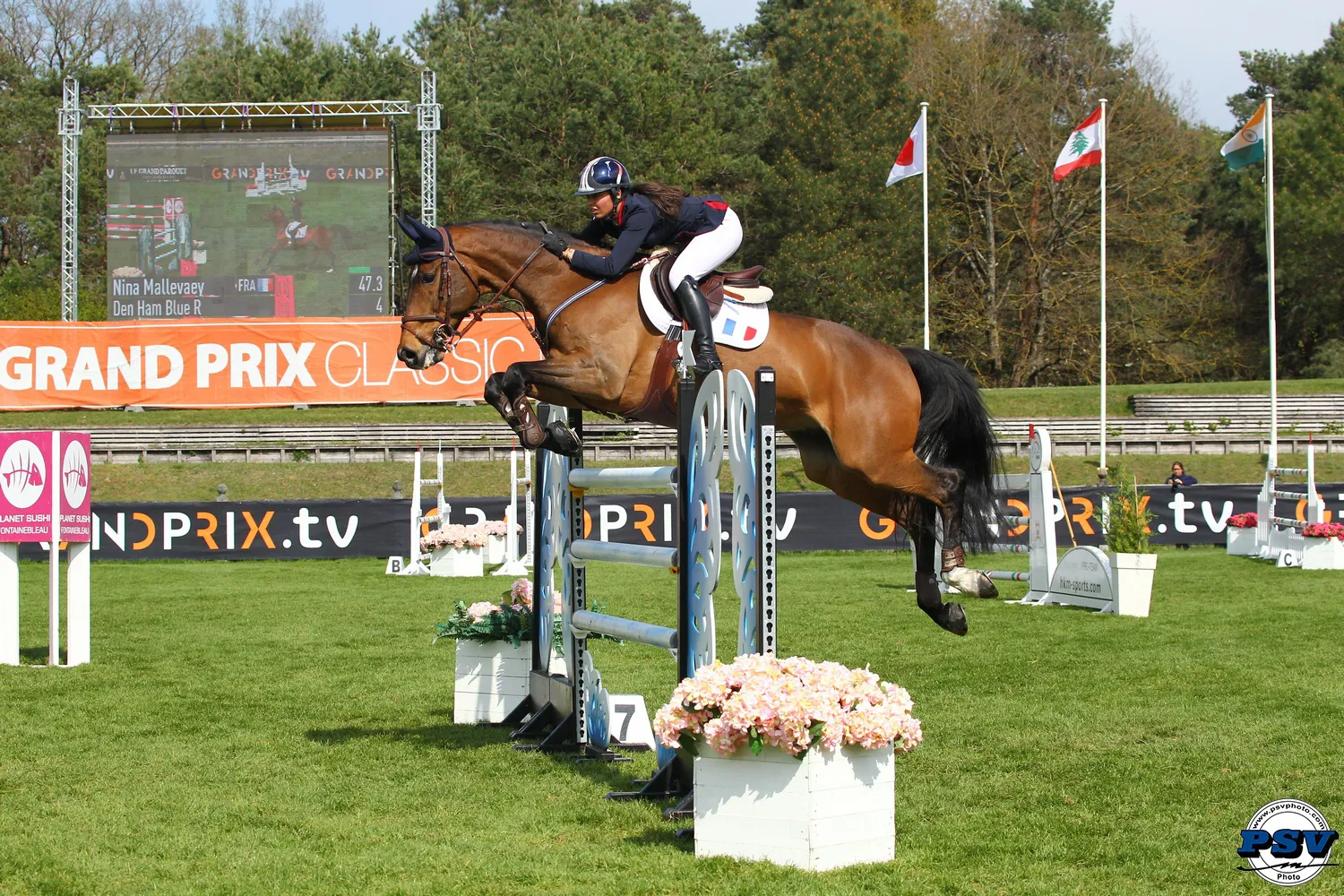Malgré ses erreurs dans l'épreuve de la veille, Nina Mallevaey est satisfaite de son cheval, Den Ham Blue R, qu'elle apprend à connaître progressivement.