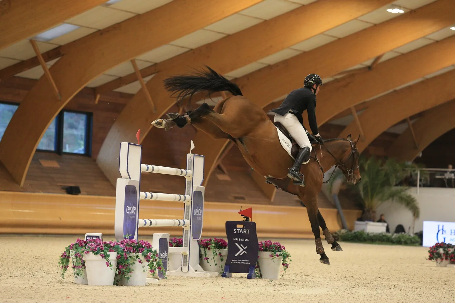 Kasanova de la Pomme.