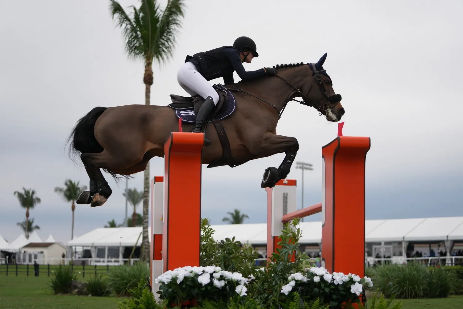 Zoé Conter et Davidoff de Lassus s'étaient déjà classés quatièmes d'un Grand Prix 3* à Wellington le mois dernier.