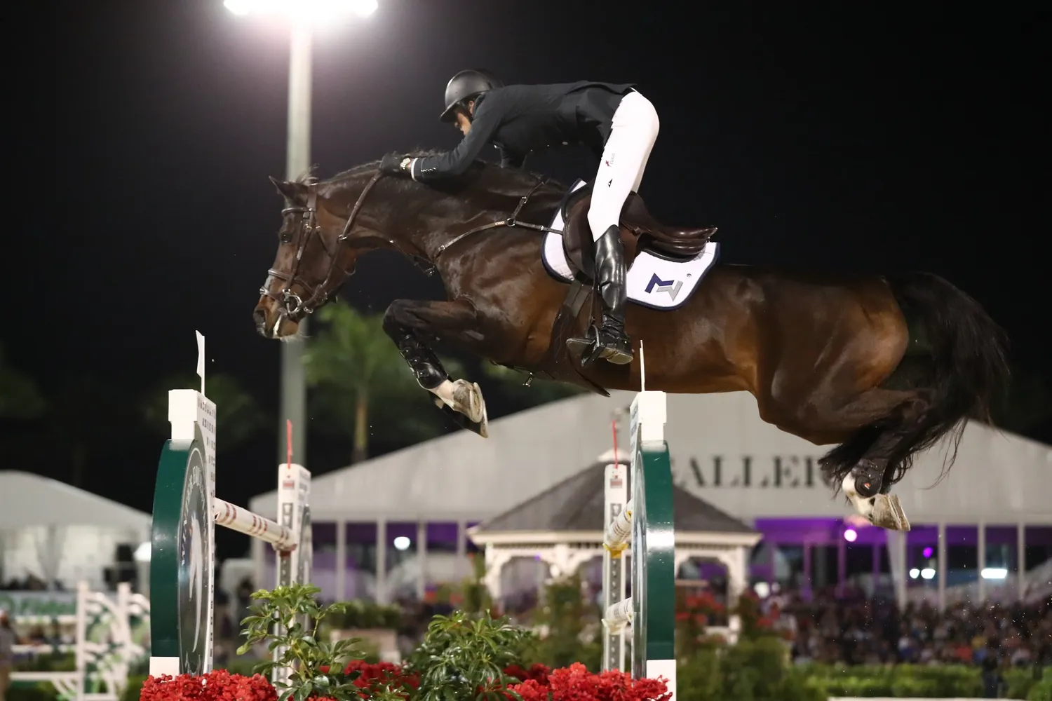 Brian Moggre et son Balou du Reventon ont terminé troisième du Grand Prix.