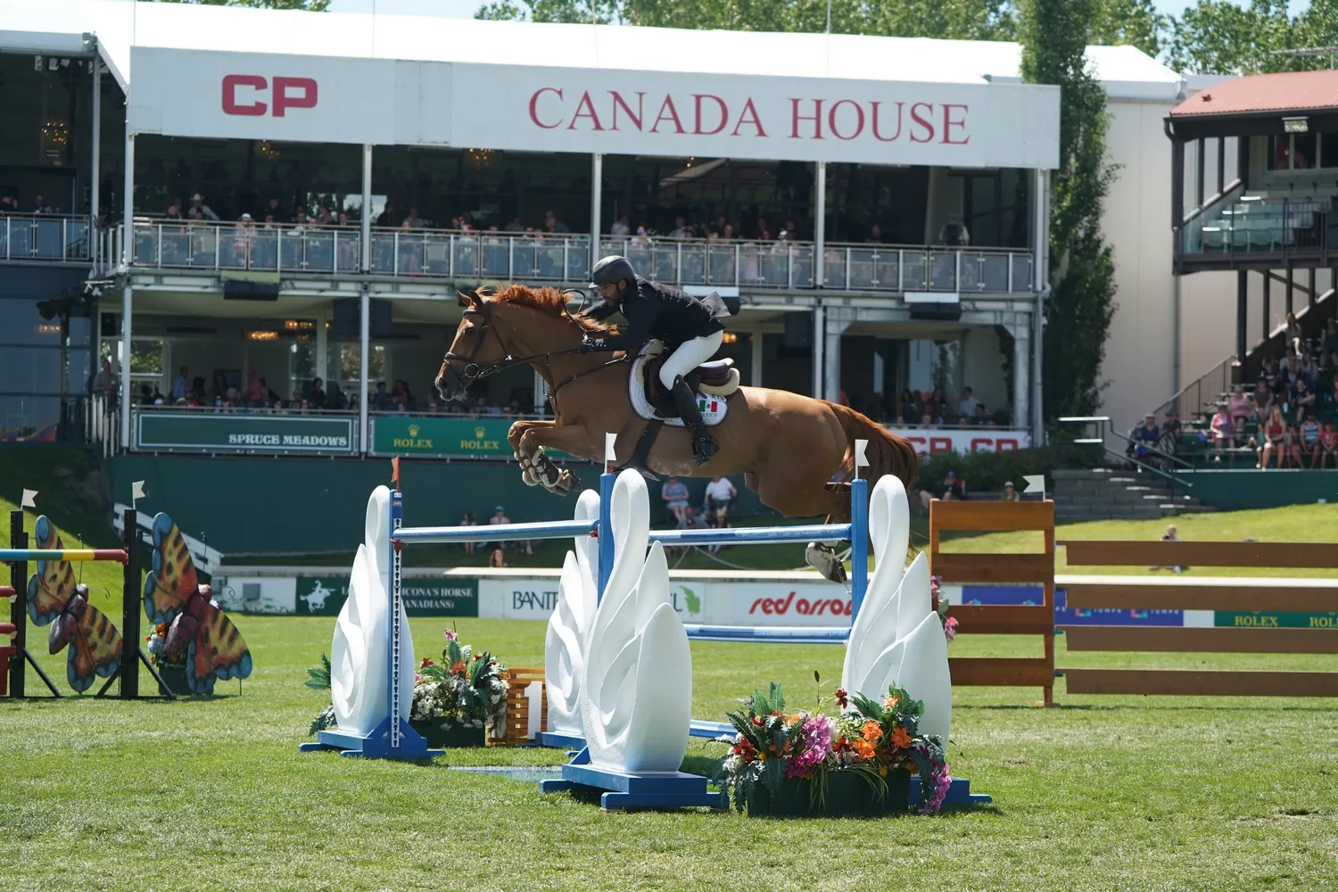 Patricio Pasquel et Babel, troisièmes du Grand Prix.