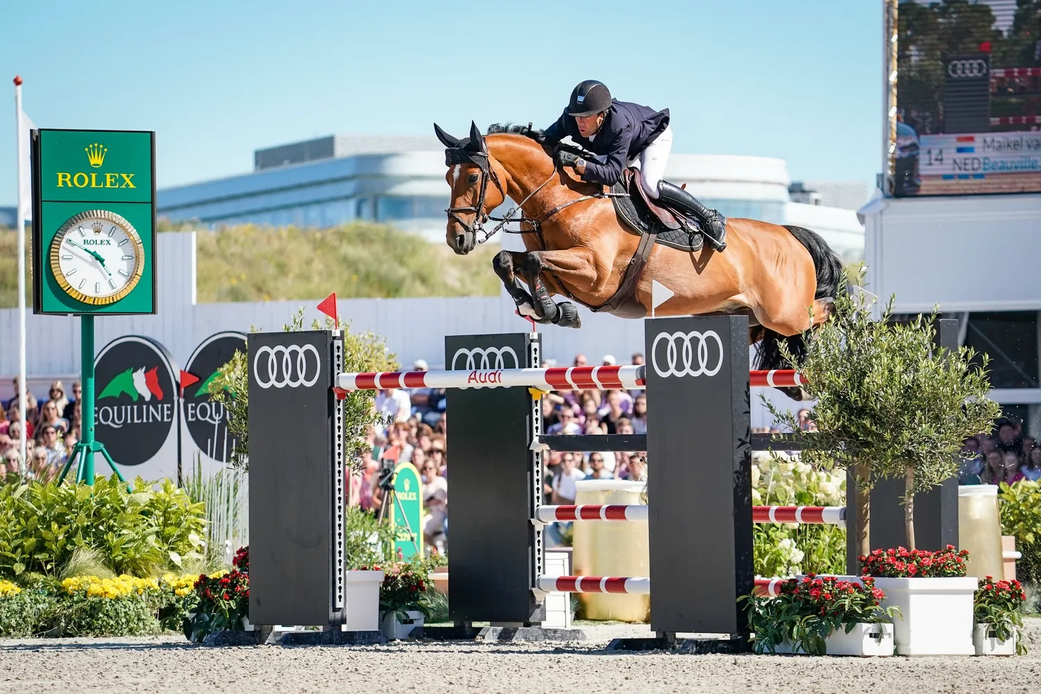 Maikel van der Vleuten et Beauville Z.