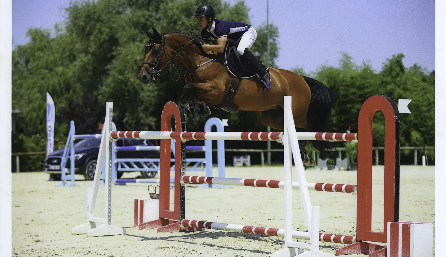 Après une belle carrière en cce, Rhéxia a été performante jusqu'en épreuve 150 de cso.