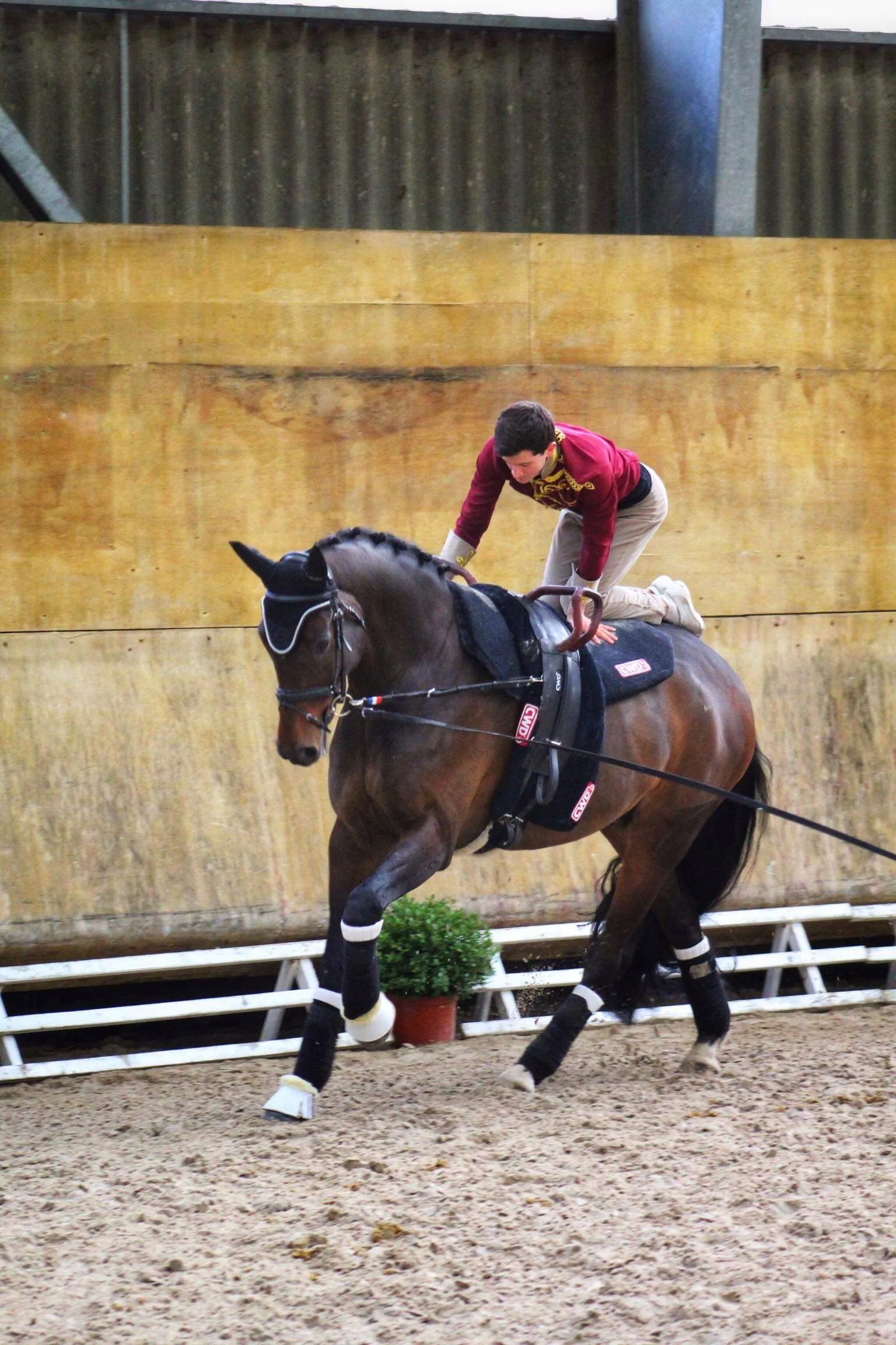 Lambert Leclezio et Estado*IFCE lors de leur premier concours national à La Roche-sur-Yon le 1er mars dernier.