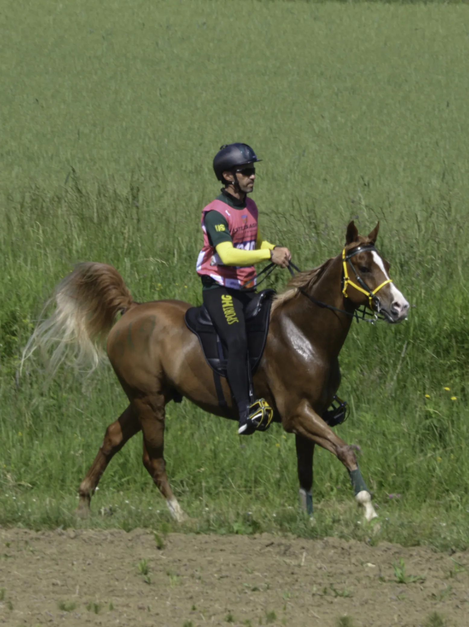 À Castelsagrat, Tazribus a conservé son titre et à nouveau fait forte impression.