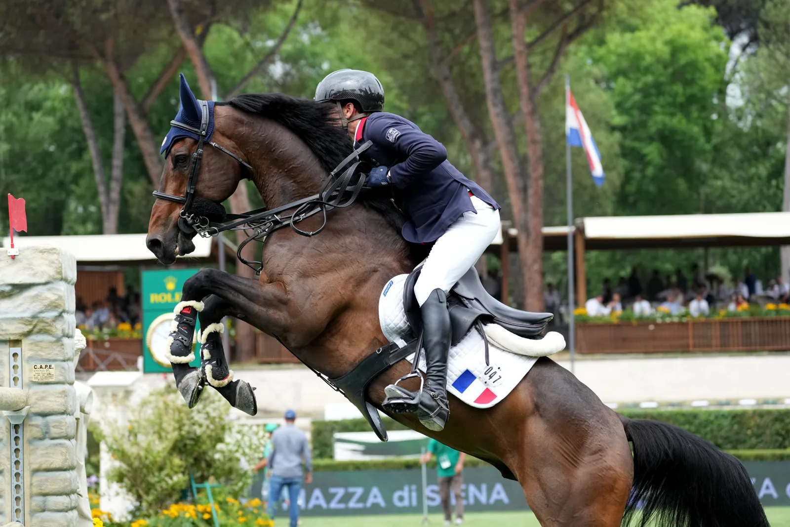 Simon Delestre et Cayman Jolly Jumper.