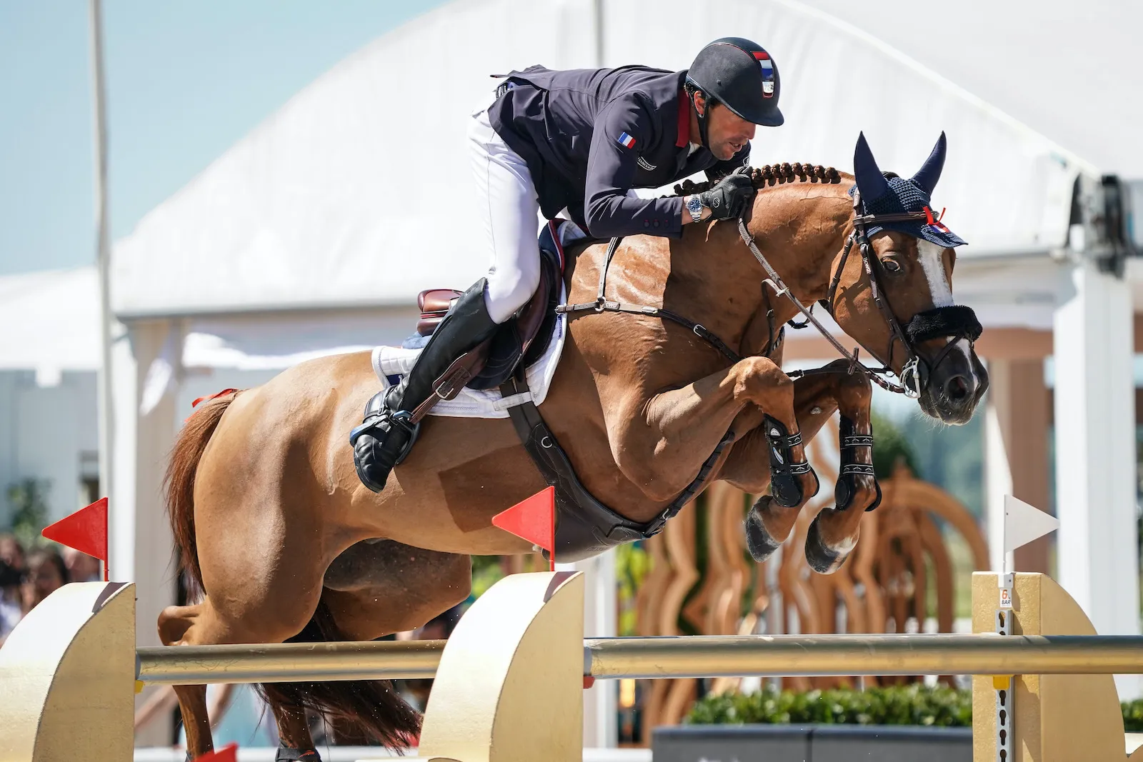 De retour au plus haut niveau, Scderia 1918 Viking d'la Rousserie a de grandes chances d'aller au Danemark selon vous.