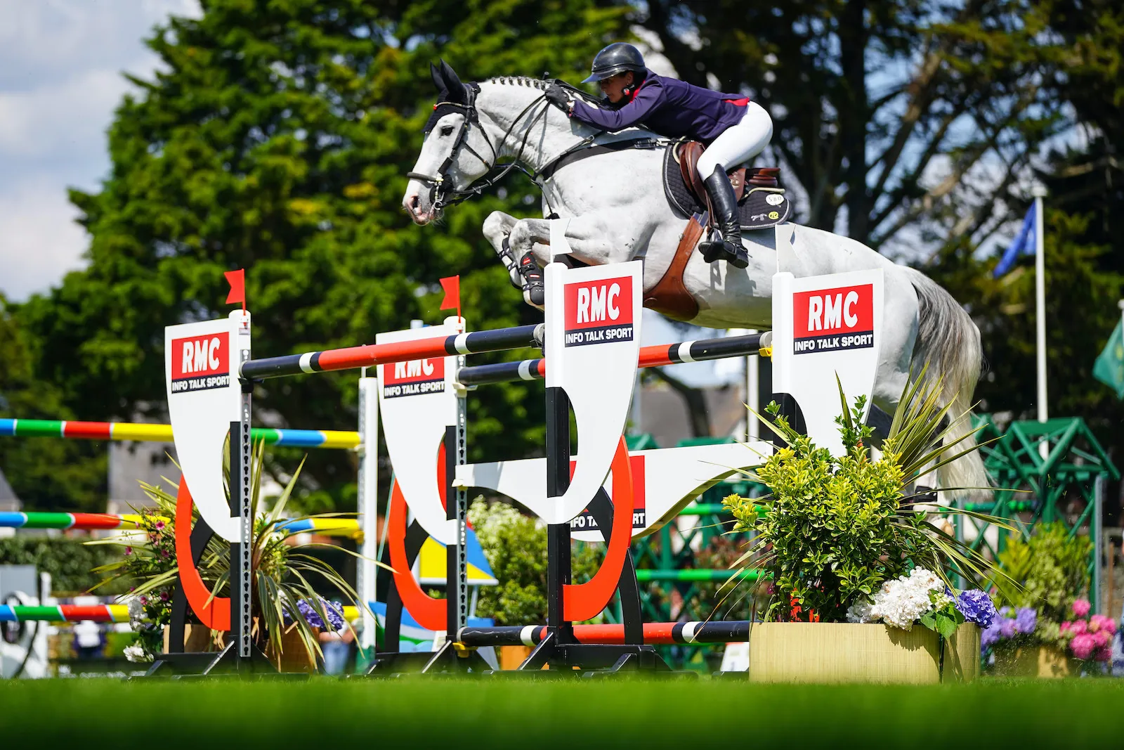 GFE*Excalibur dela Tour Vidal sera, selon vous, le cinquième membre de cette équie. 