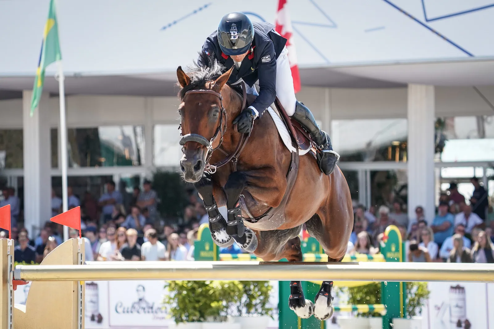 Julien et Caracole de la Roque au CSIO 5* de Knokke.