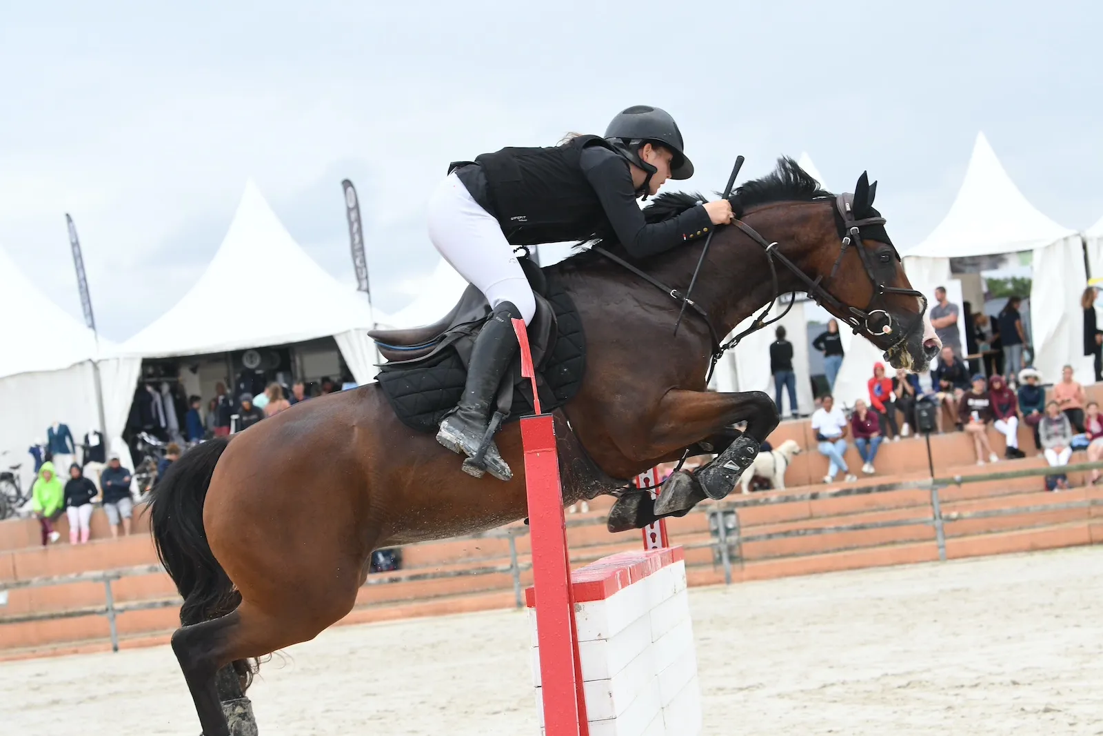 Son fils, Cupidon d'Hurl'Vent, lors de l'As Poney Élite du Sologn'Pony en août. 