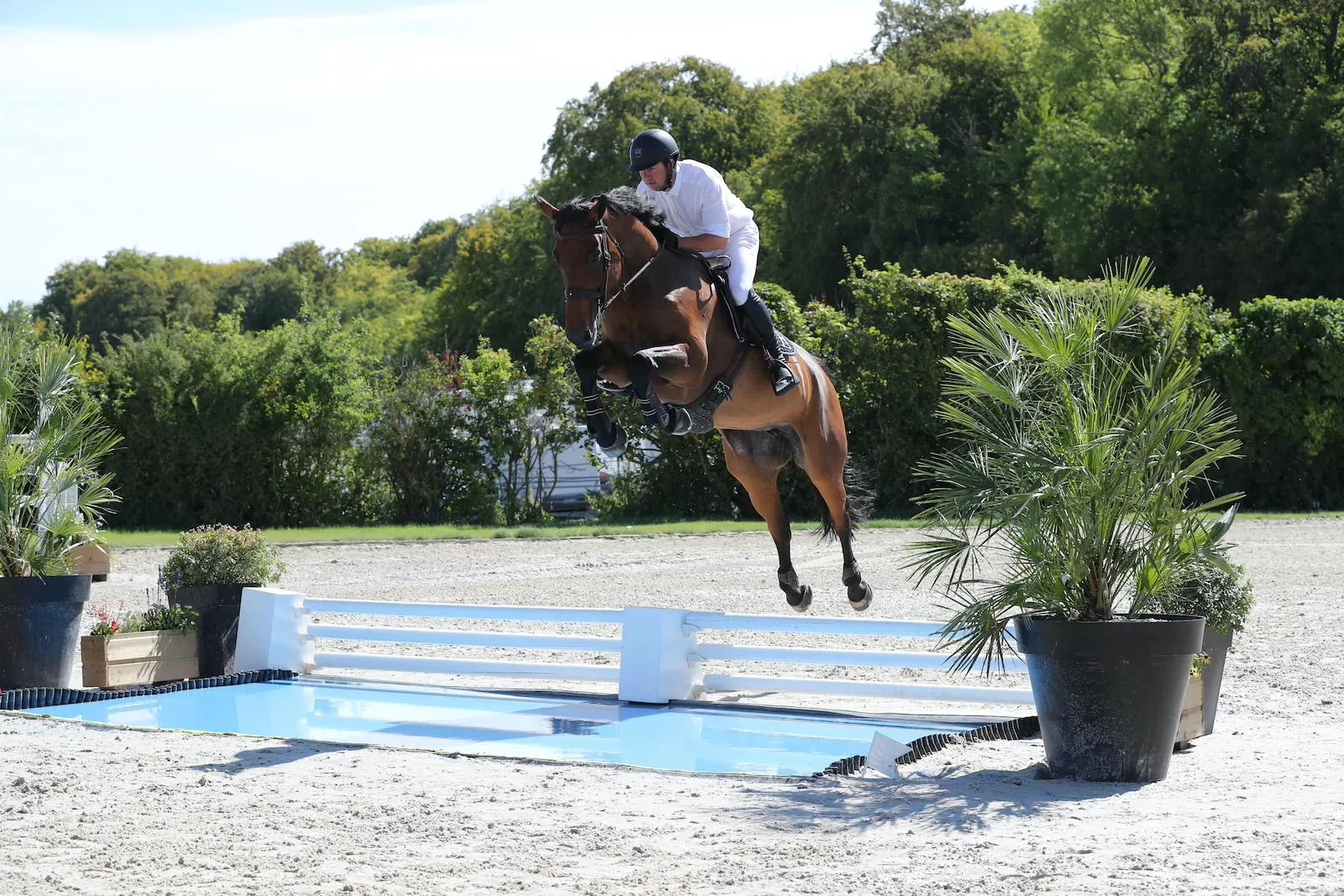 Romain Lascanne a mené Dynastie de Beaufour jusqu'à 1,45m avant de passer la main.