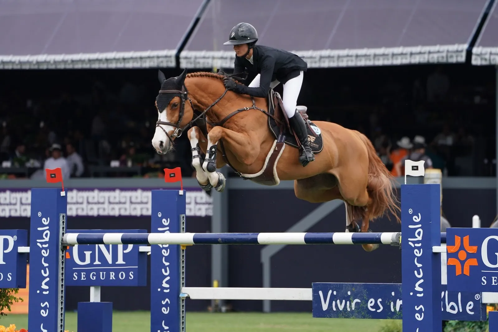 En selle sur Crack d’la Rousserie, Nina s’est notamment classée deuxième d’une épreuve 1,50m au CSI 5* de Mexico en avril.