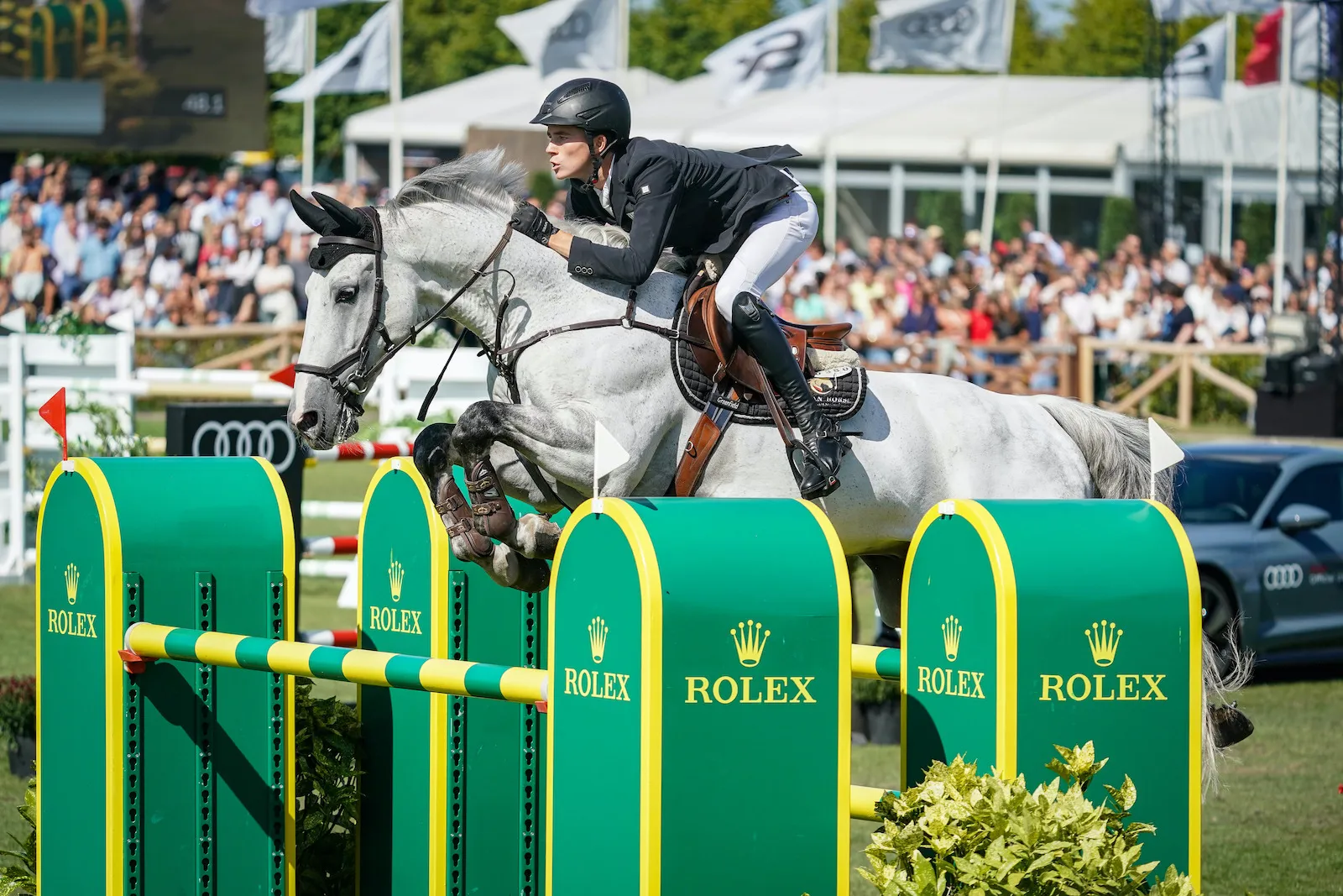 Thibeau peut notamment compter sur King van Essene, ici dans le Grand Prix du CSI 5* de Bruxelles. 