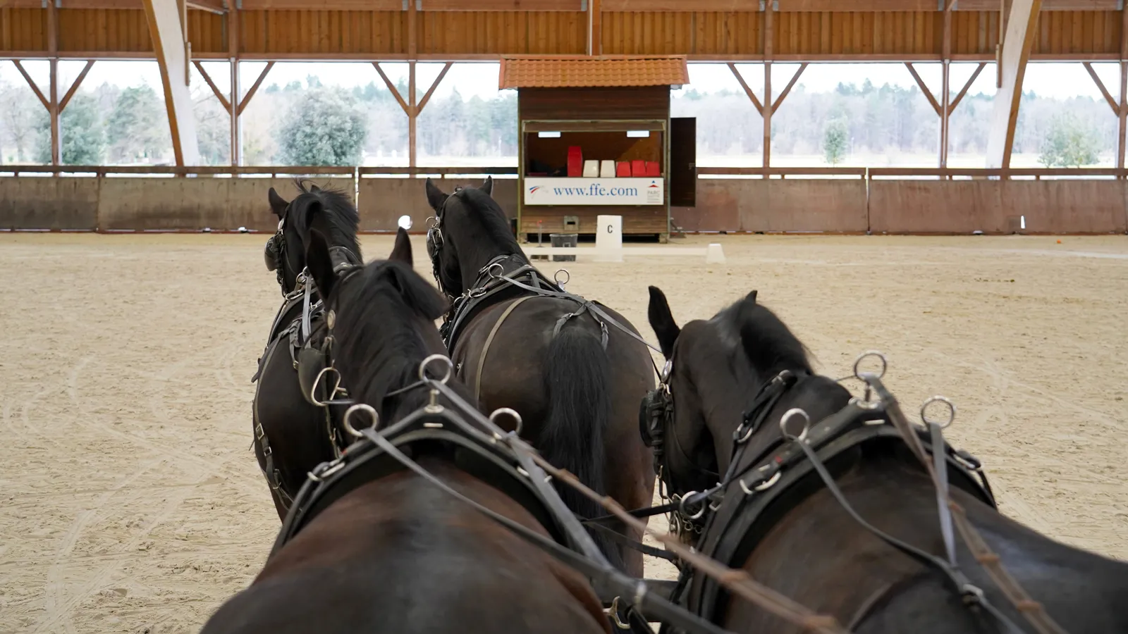 Le Grand Manège du Parc équestre fédéral offre aux meneurs des conditions de travail particulièrement appréciables en hiver.