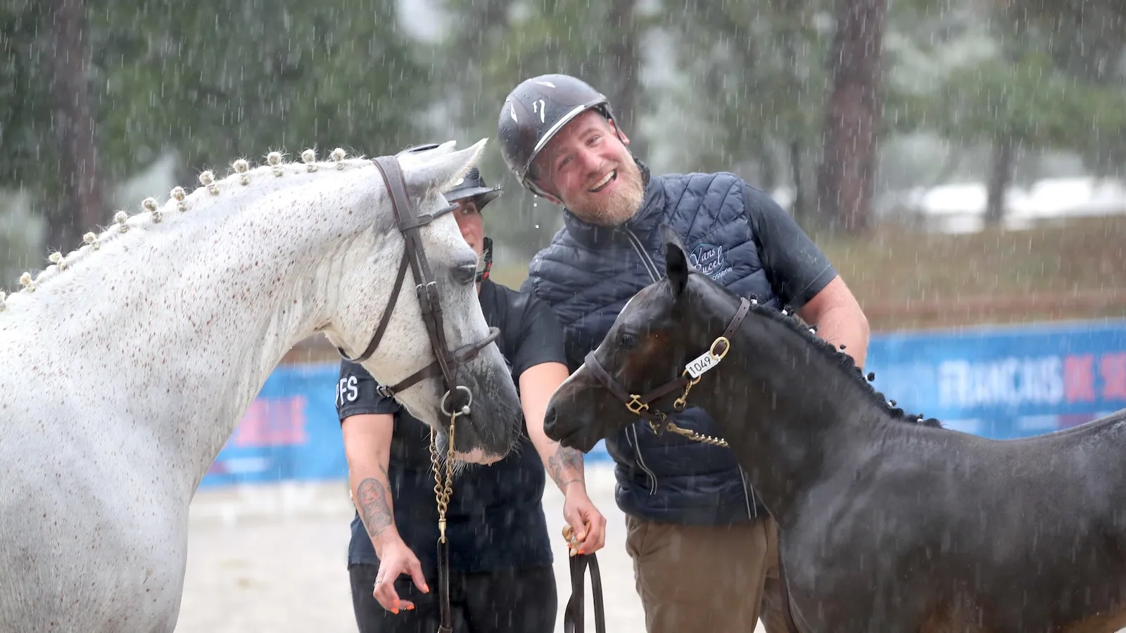 Paparazzi Alias CLS est le nouveau champion de France des foals jeunes mâles PFS. 