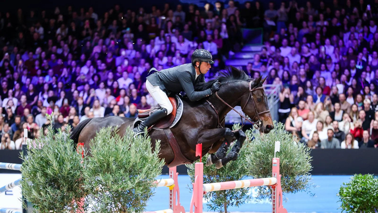 Julien Épaillard et Donatello d’Auge ont idéalement préparé le Top Ten Rolex IJRC, pour lequel le Normand n’est pas encore qualifié.