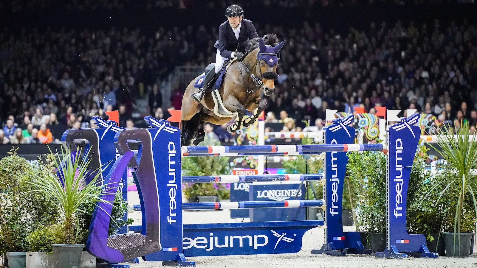 Simon Delestre a embrasé le Parc des expositions avec Cayman Jolly Jumper.
