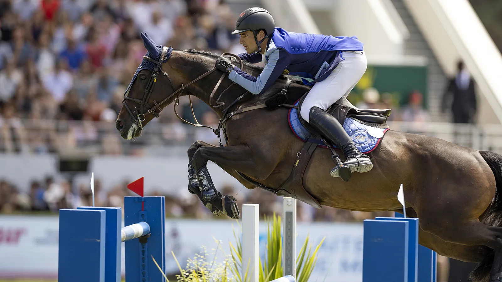 Nicola Philippaerts et Katanga van het Dingeshof ont gagné leur première grande victoire à La Baule.