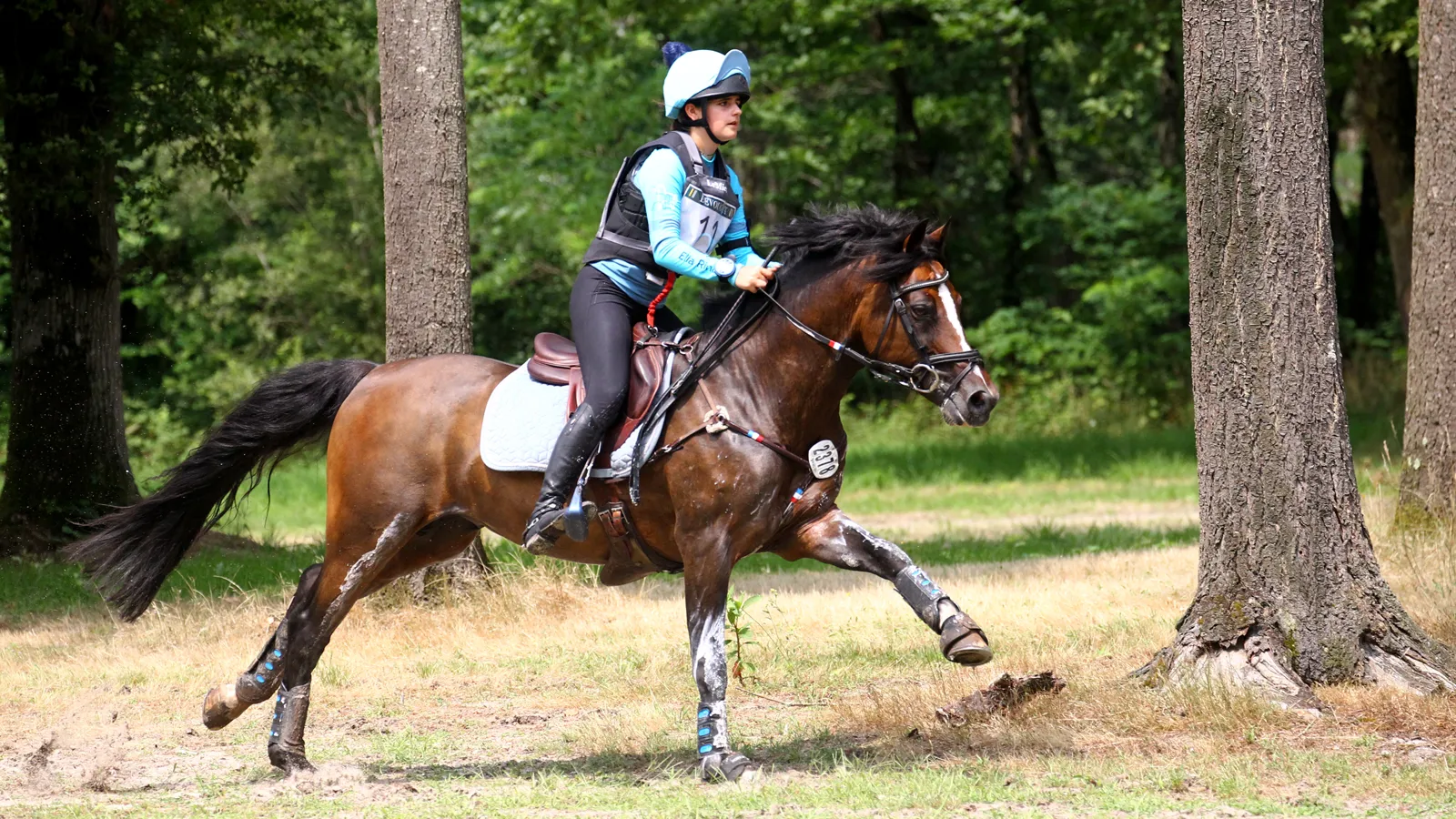 Ella Rinaldi est passée par toutes les émotions avec la star Boston du Verdon.