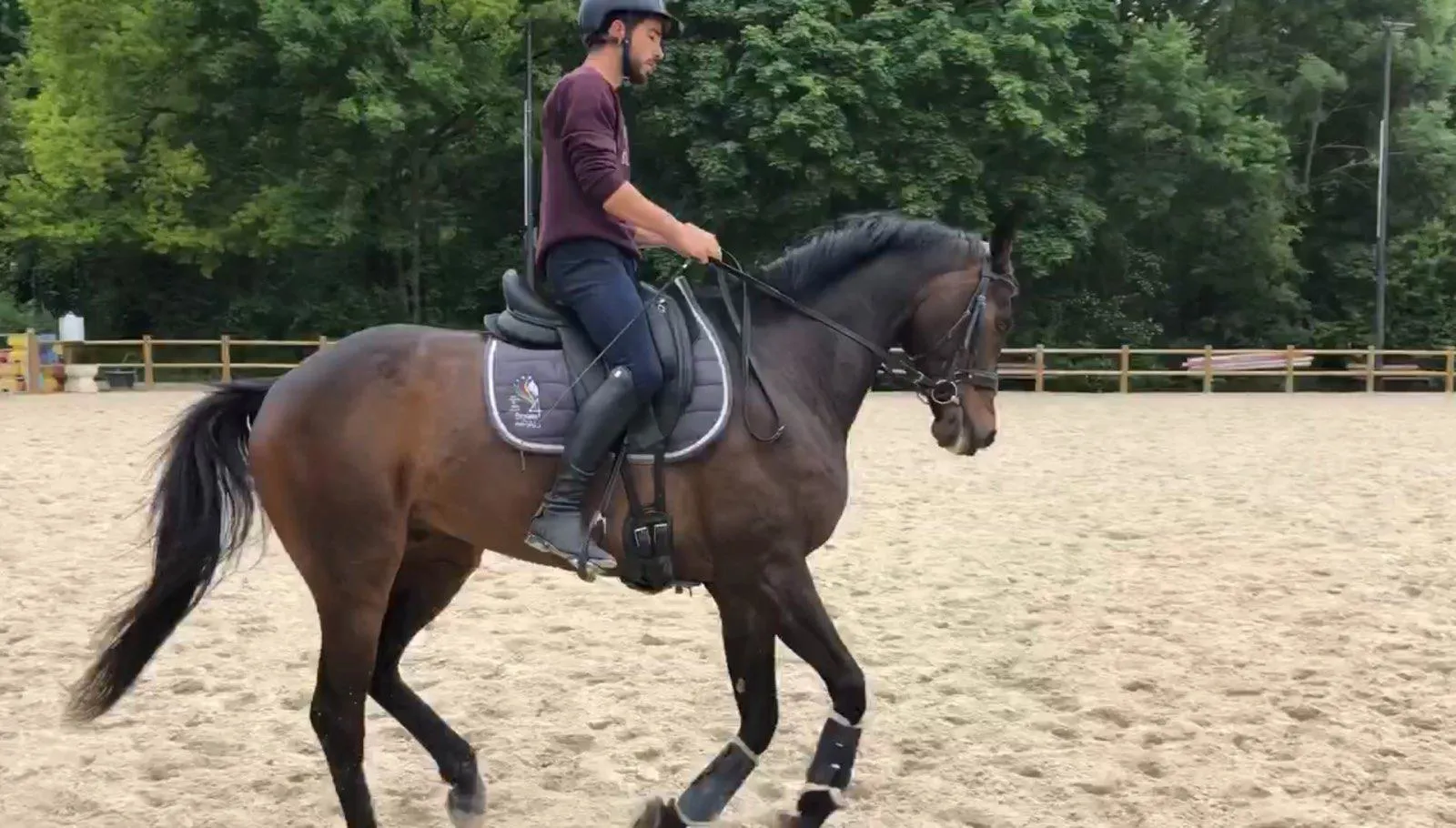 Quentin Faucheur fonde de grands espoirs en Fleur de Lilas, un Pur-sang à l'origine destiné aux courses de steeple.